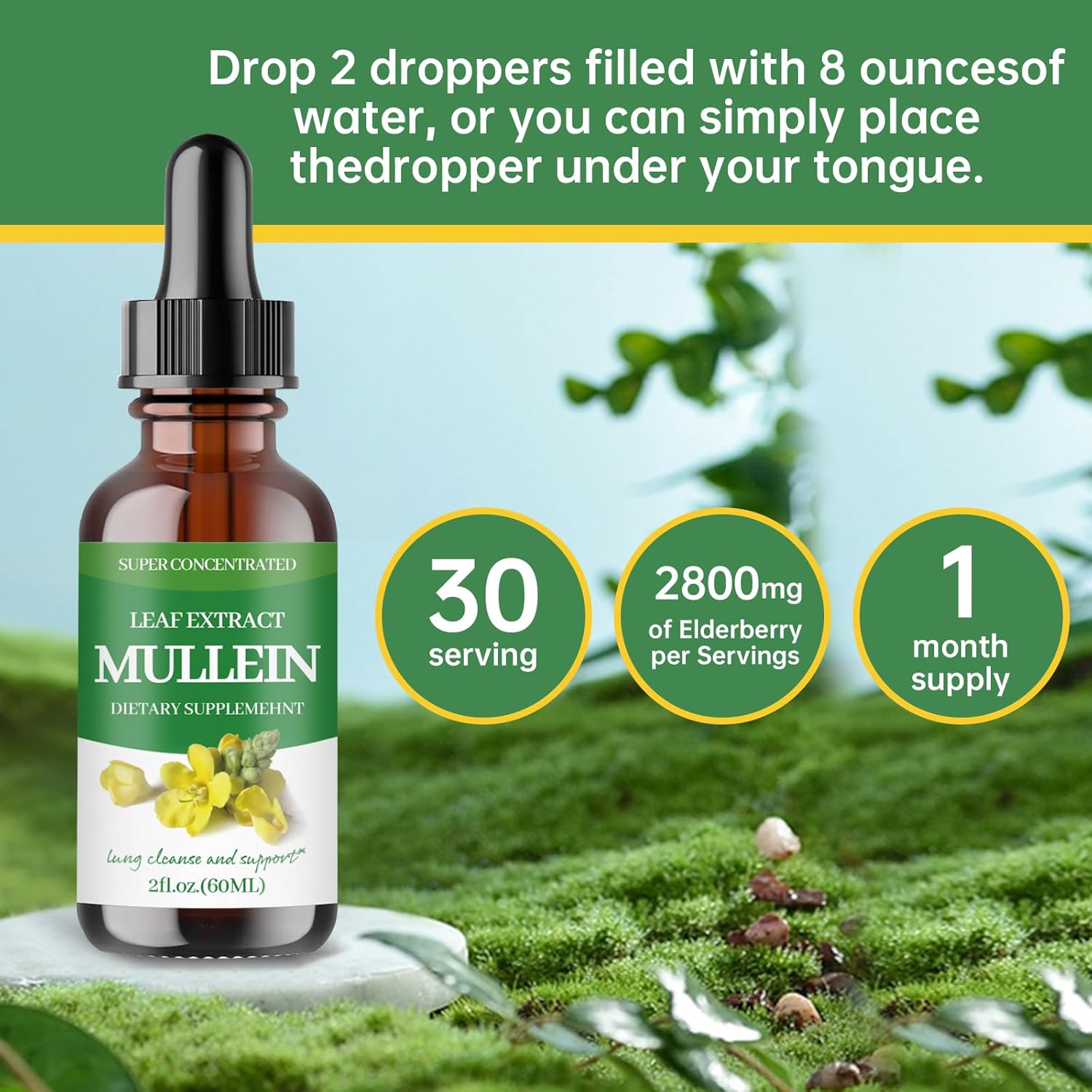 Organic Mullein Leaf Extract Drops for Lung Support - Natural Tincture Supplement for Adults - Non-GMO, Vegetarian - 2 Pack