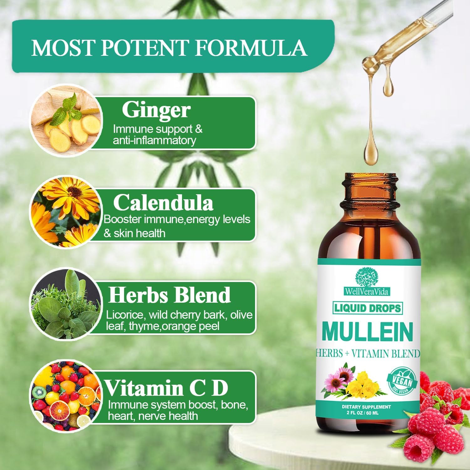 Organic Mullein Leaf Extract Drops with Elderberry and Echinacea - Alcohol Free Lung Support Tincture for Smokers, Sinus Relief, and Respiratory Health