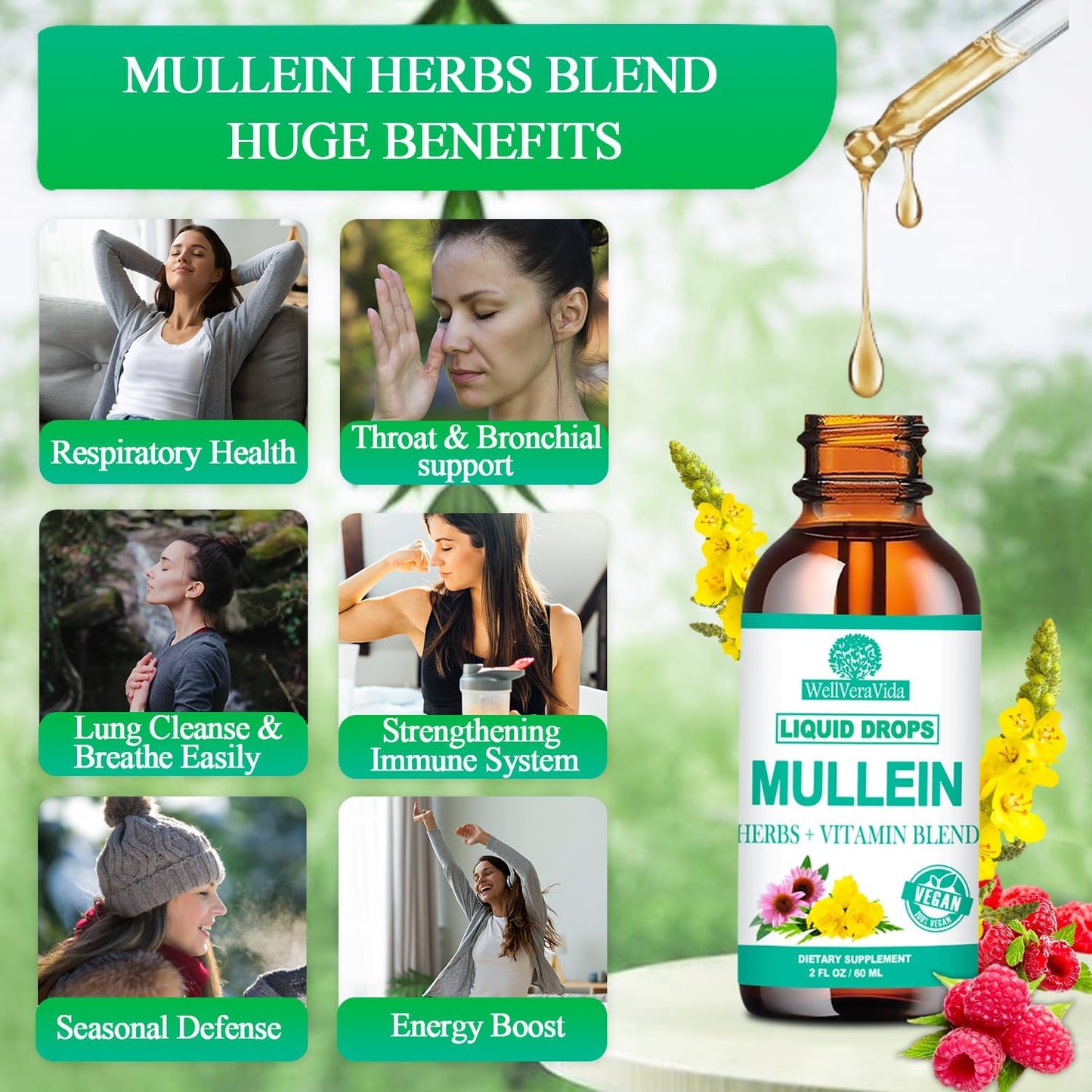 Organic Mullein Leaf Extract Drops with Elderberry and Echinacea - Alcohol Free Lung Support Tincture for Smokers, Sinus Relief, and Respiratory Health
