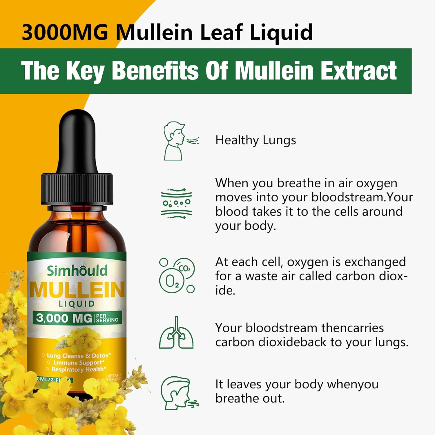 Organic Mullein Leaf Tincture 2 Pack - 3000mg Lung Detox & Respiratory Health - Natural Supplement for Immune Boost & Digestive Support - 4 oz Vegan Formula