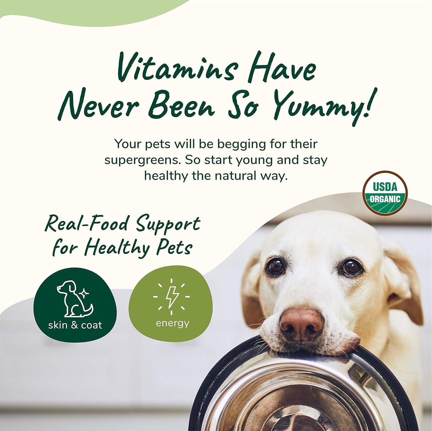 Organic Multivitamin for Dogs & Cats - Skin & Coat Vitamins - Natural Formula with Wheatgrass, Kelp, Flax Seed, Seaweed, Coconut - 4 oz - USA Made