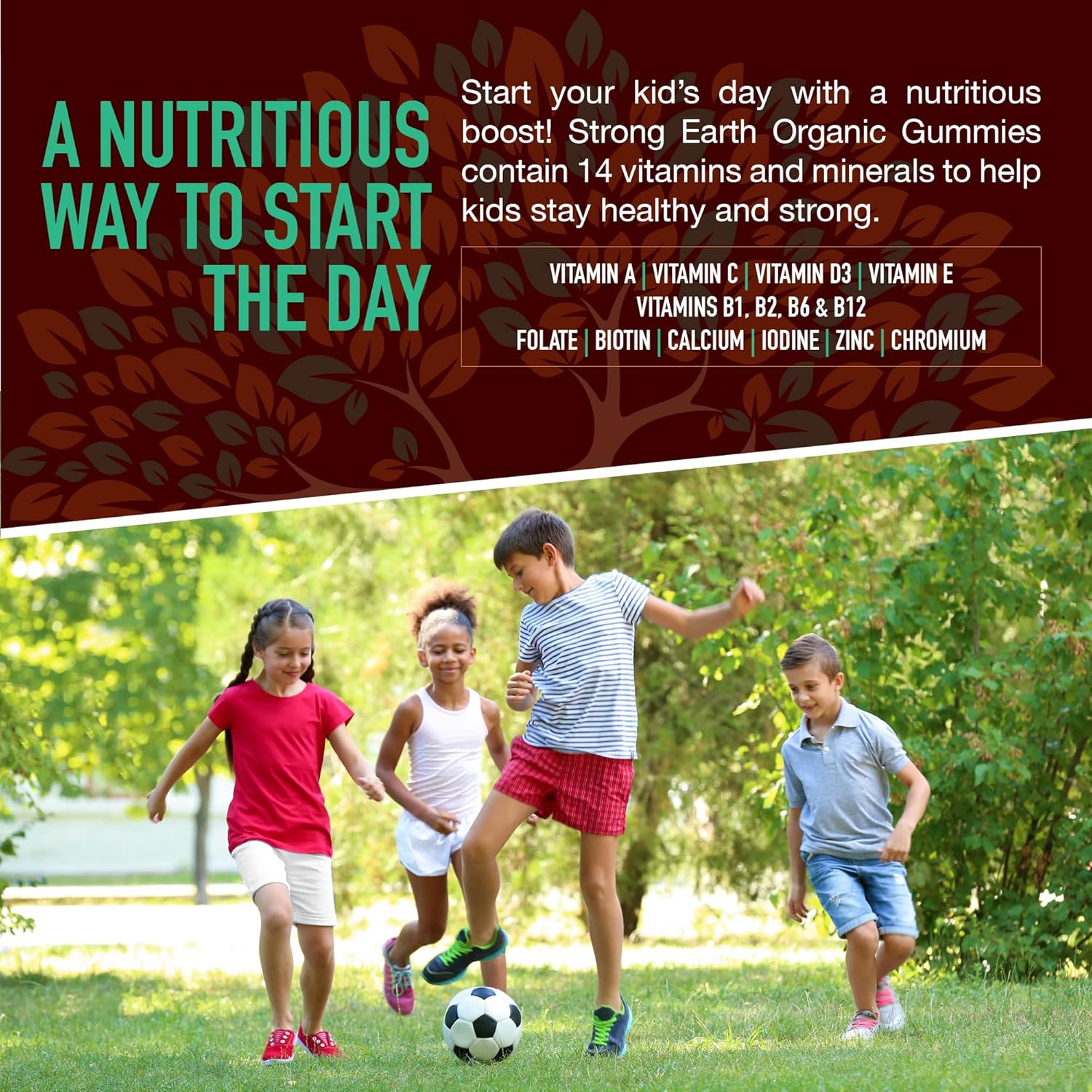 Organic Multivitamin Gummies for Kids with Immune Support - 60 Count