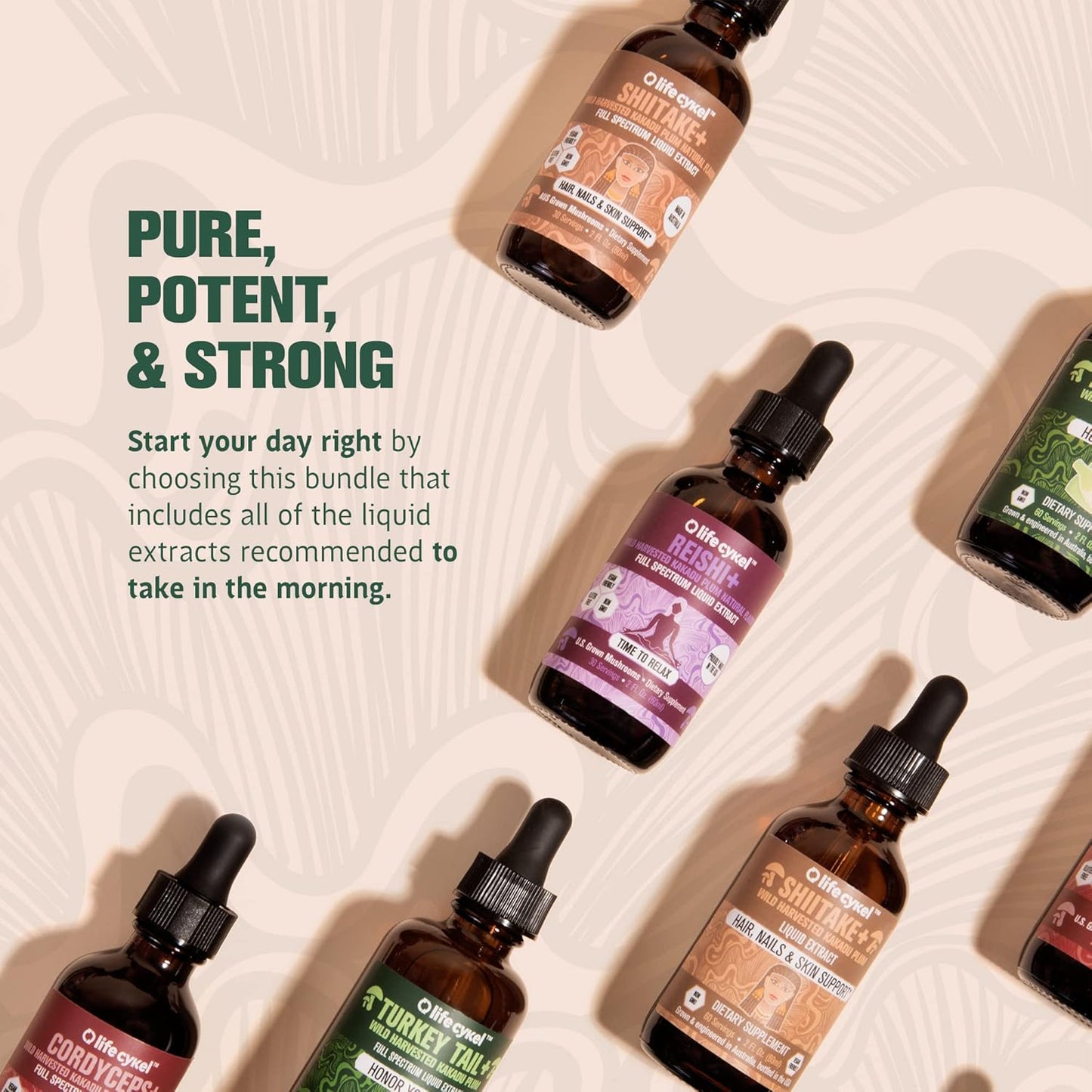Organic Mushroom AM Bundle for Energy, Immune Support, Hair Skin & Nails - Cordyceps, Turkey Tail, Shiitake with Kakadu Plum - Made in USA - Non-GMO - 3 Pack (2oz each)