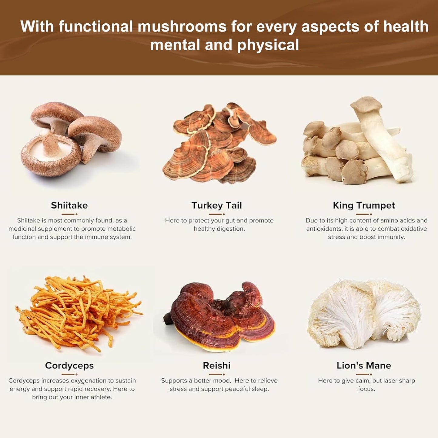 Organic Mushroom Coffee Blend for Gut Health, Energy, Focus, and Brain Support