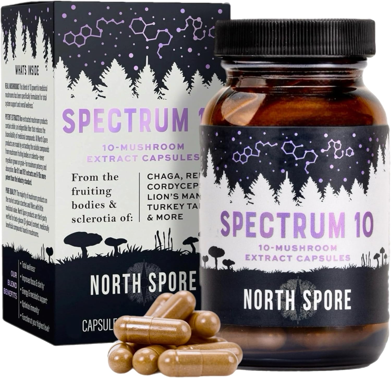 Organic Mushroom Extract Capsules with 10 Medicinal Mushrooms for Energy, Focus, and Clarity - 120 ct