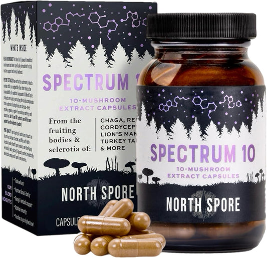 Organic Mushroom Extract Capsules with 10 Medicinal Mushrooms for Energy, Focus, and Clarity - 120 ct