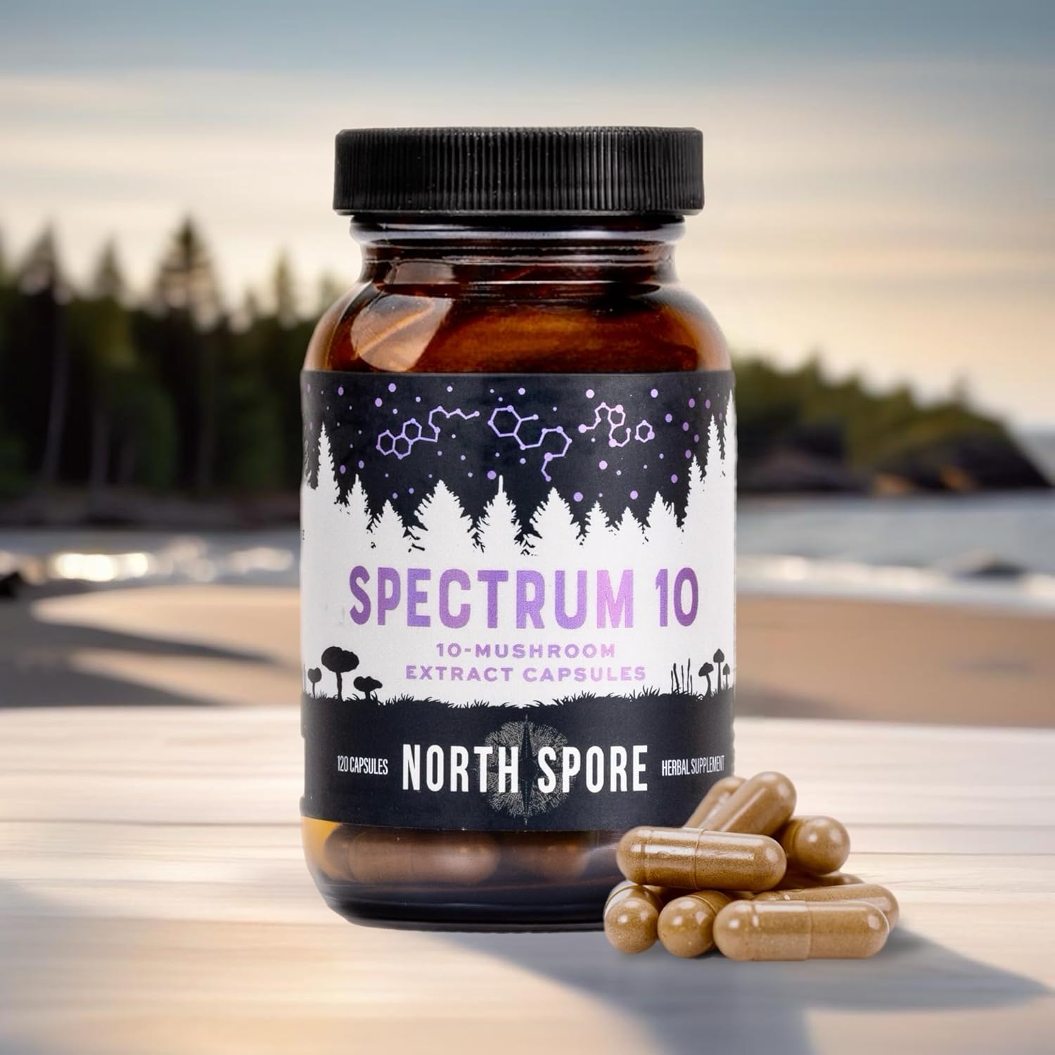 Organic Mushroom Extract Capsules with 10 Medicinal Mushrooms for Energy, Focus, and Clarity - 120 ct