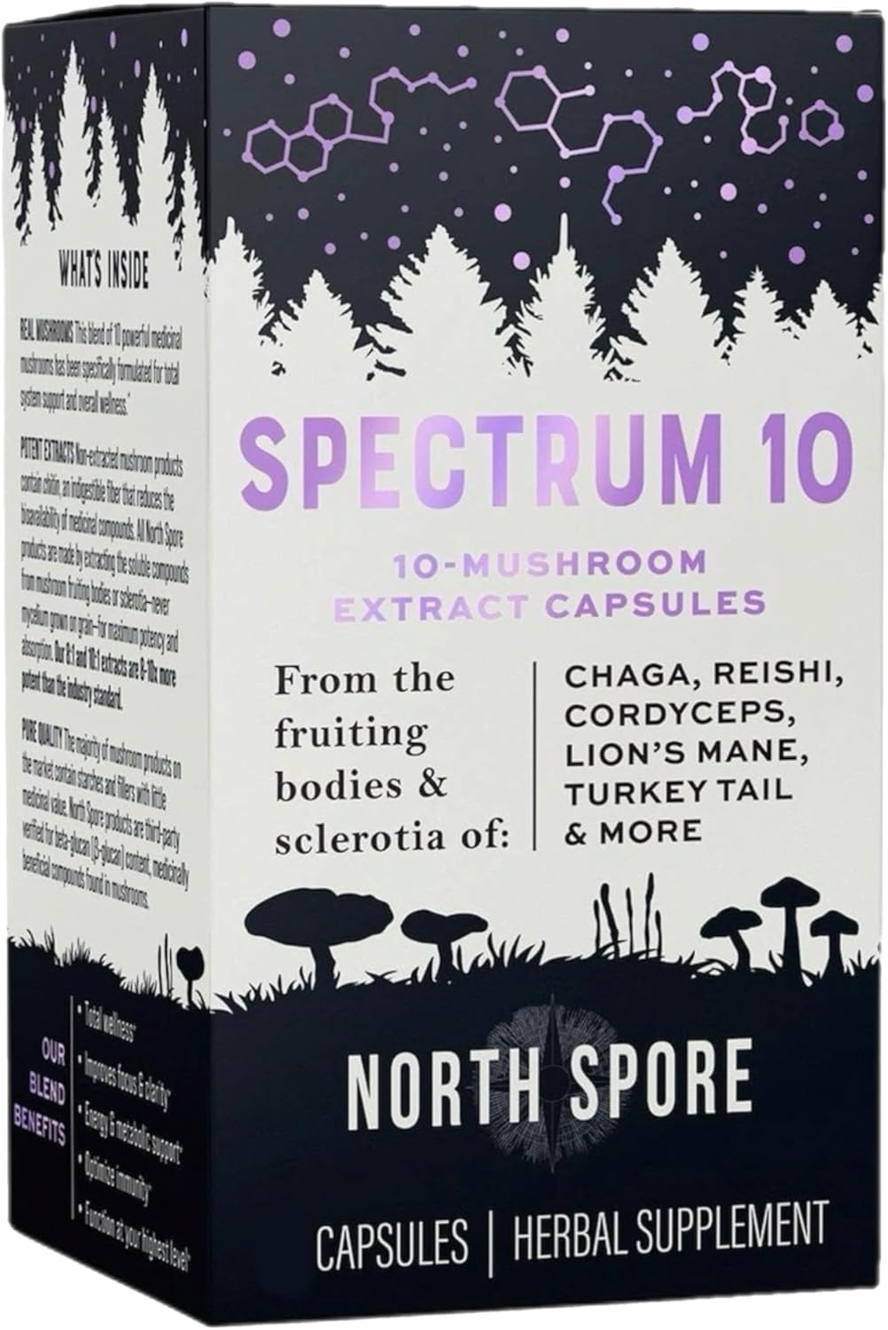 Organic Mushroom Extract Capsules with 10 Medicinal Mushrooms for Energy, Focus, and Clarity - 120 ct