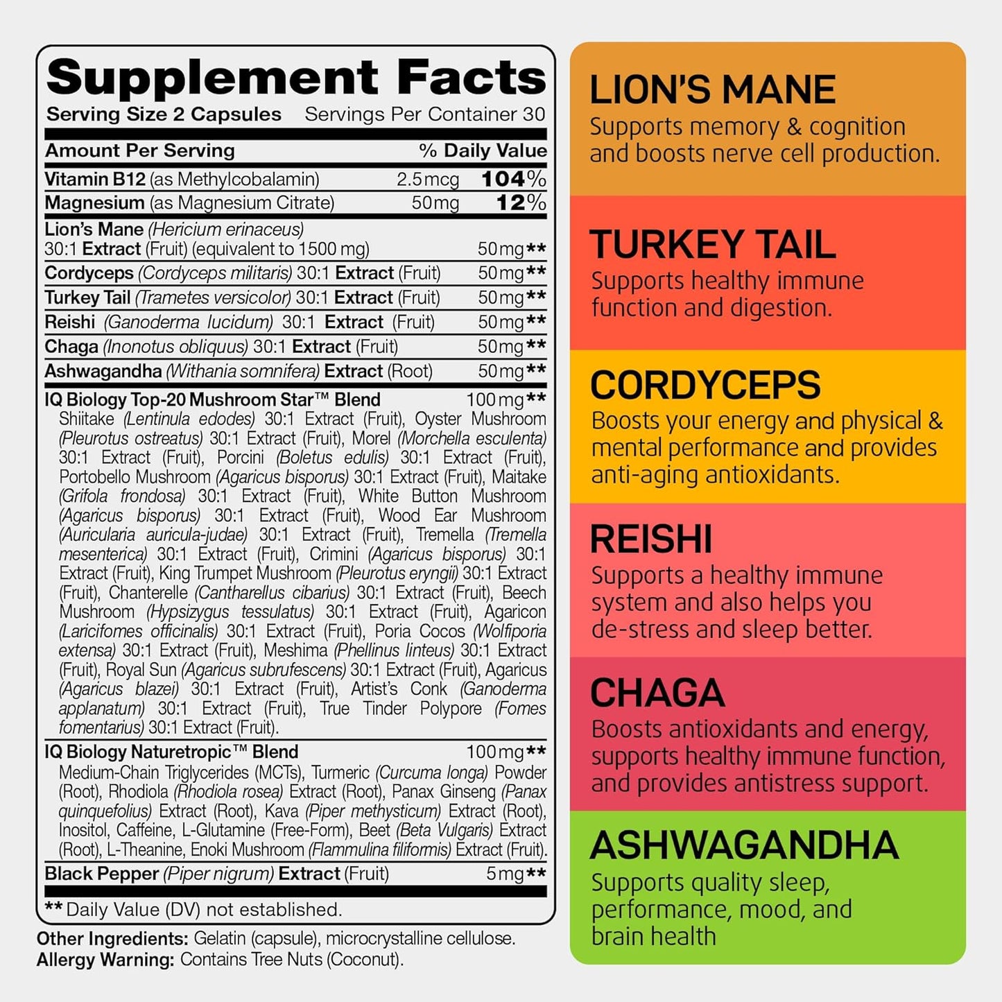 Organic Mushroom Nootropic Supplement with Kava Kava Extract, Cordyceps, Lions Mane, Reishi - Energy Boost Capsules for Women - Ashwagandha, Magnesium - 60 Capsules (2 Pack)