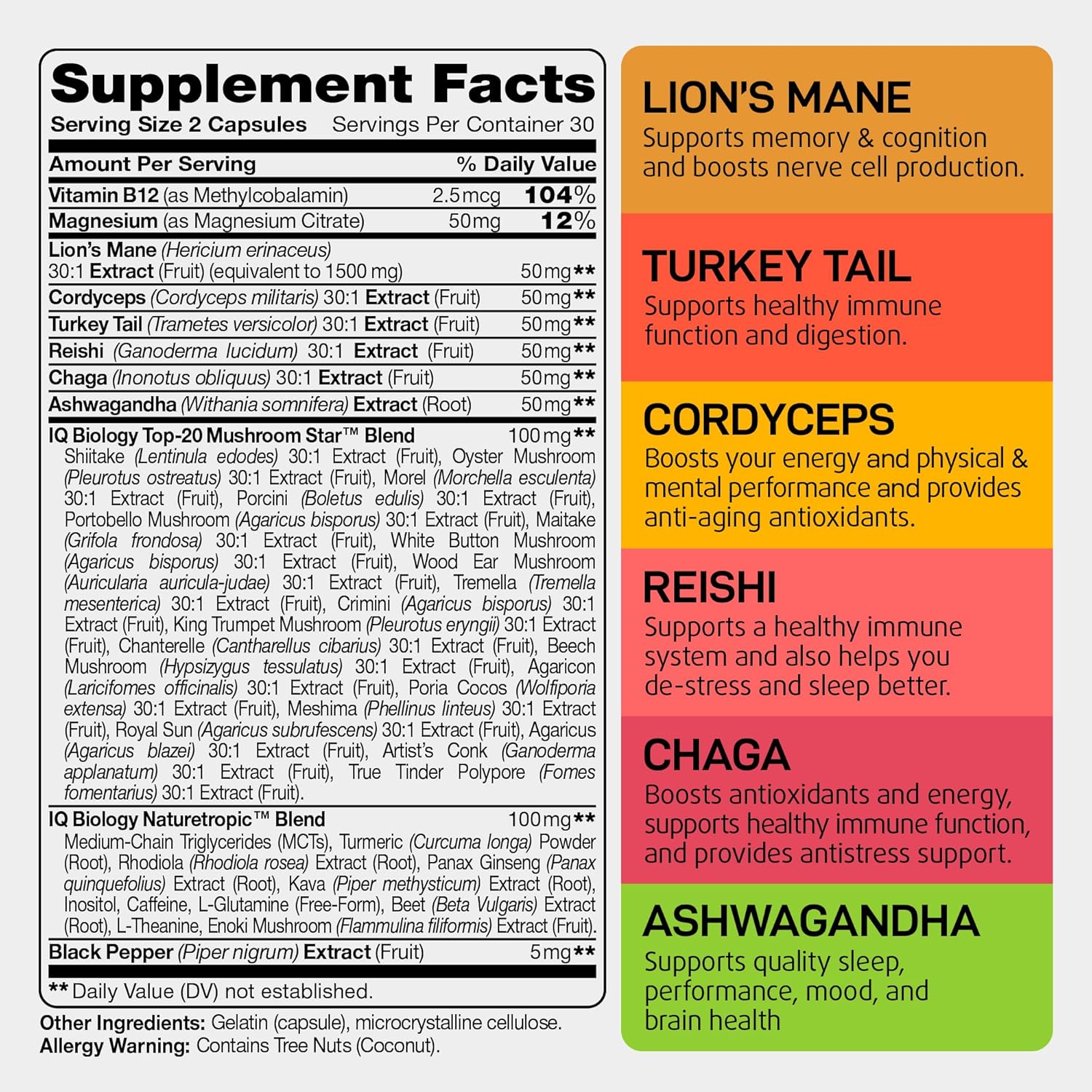 Organic Mushroom Nootropic Supplement with Kava Kava Extract, Cordyceps, Lions Mane, Reishi - Energy Boost Capsules for Women - Ashwagandha, Magnesium - 60 Capsules (2 Pack)