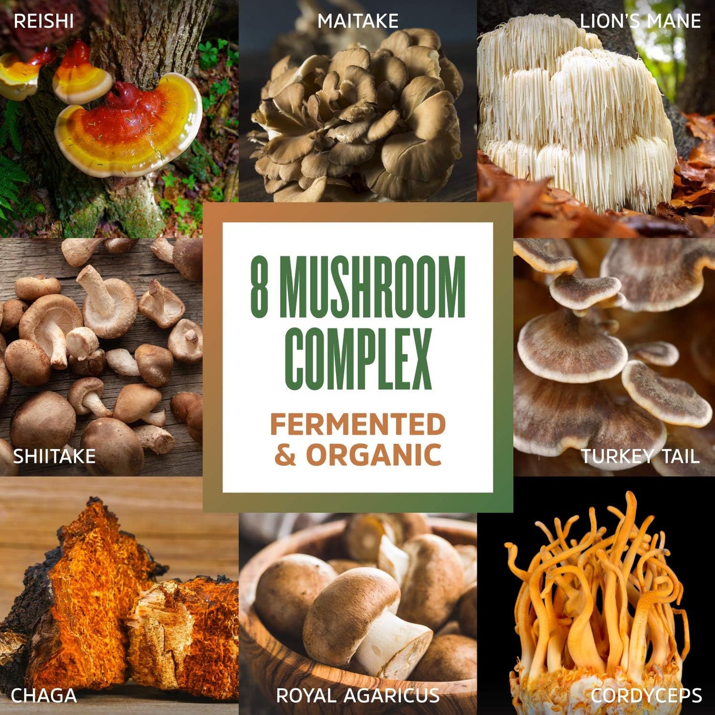 Organic Mushroom Powder Blend for Cognitive, Immune Health & Energy - Lions Mane, Reishi & Turkey Tail - 30 Servings - 2.14 Oz