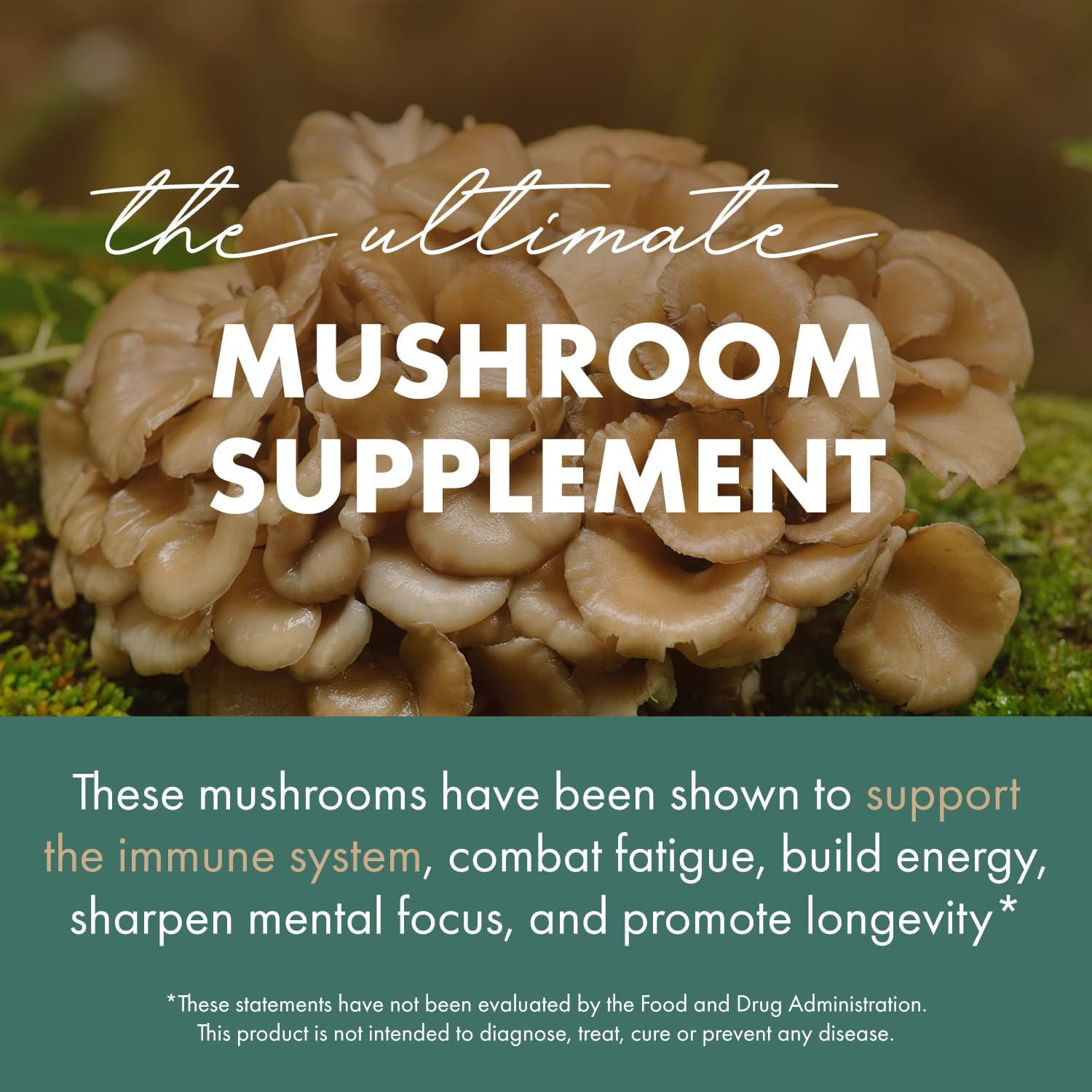 Organic Mushroom Powder Extract Supplement for Immune Support - Reishi, Lion's Mane, Cordyceps, Chaga, Shiitake, Maitake - 60 Capsules by PURE ESSENCE LABS