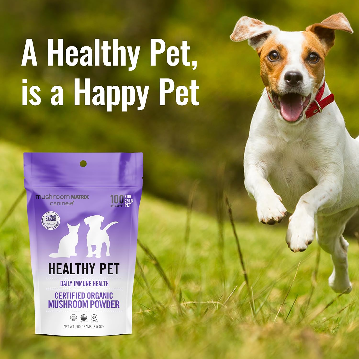 Organic Mushroom Powder Pet Supplement for Dogs & Cats - USA Grown Immune Support - 100g, 3.5 oz