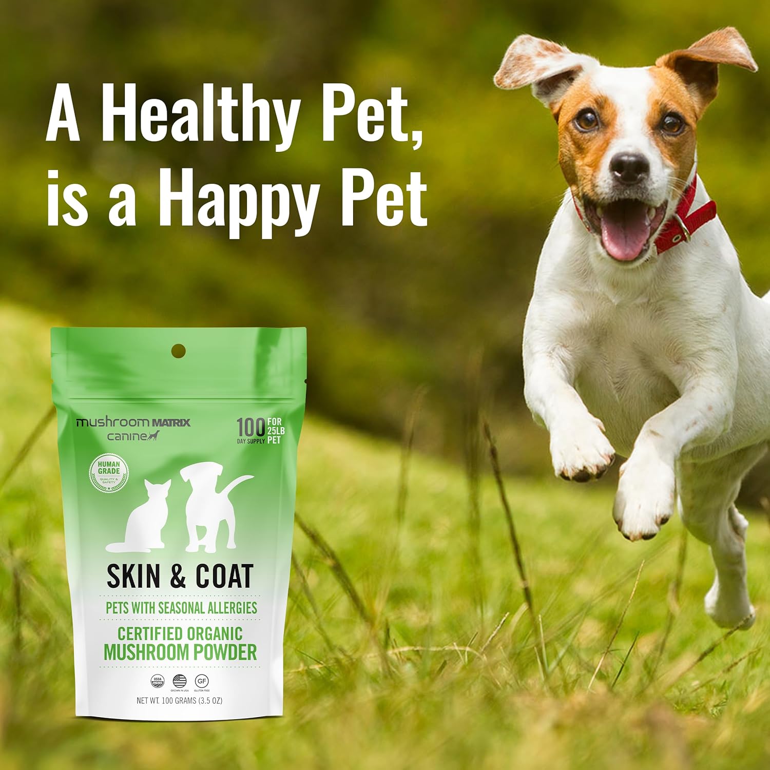 Organic Mushroom Skin & Coat Pet Supplement for Dogs & Cats | USA Grown Powder | Seasonal Allergy Support | 100g, 3.5oz