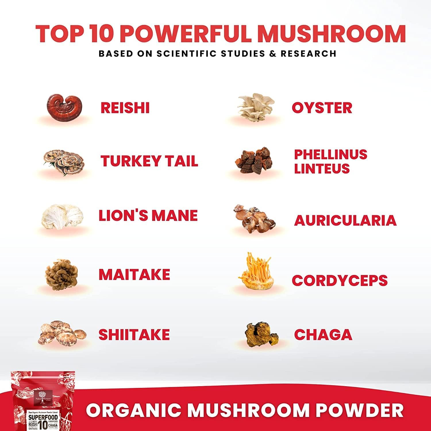 Organic Mushroom Superfood Powder Extract - Immunity Booster with Reishi, Chaga, Cordyceps, Shiitake, Lions Mane, Turkey Tail - 100% Pure USDA Certified - 60g