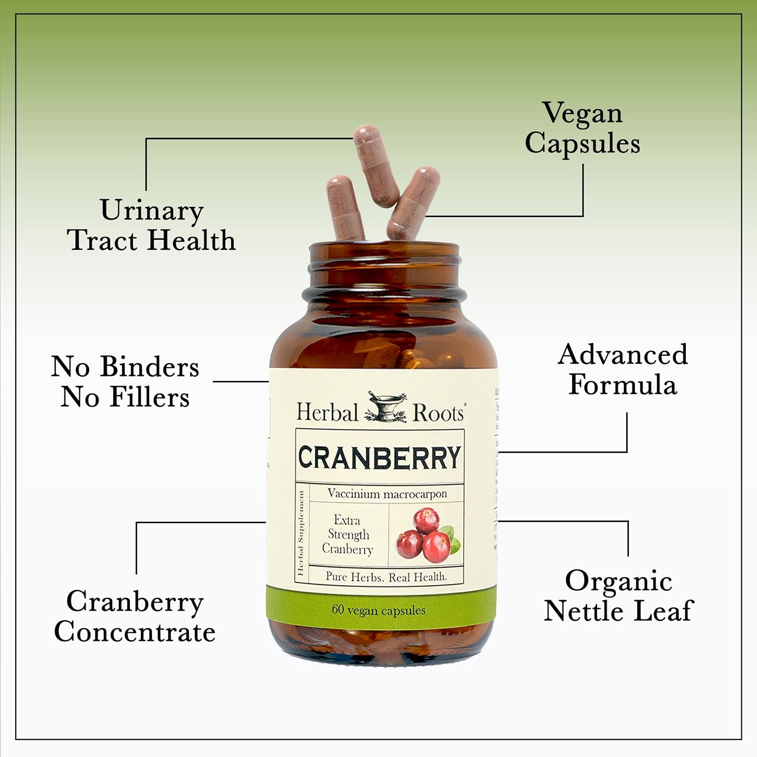 Organic Nettle Cranberry Pills for Urinary Tract Health - 60 Vegan Capsules for Women & Men - Herbal Roots Extra Strength