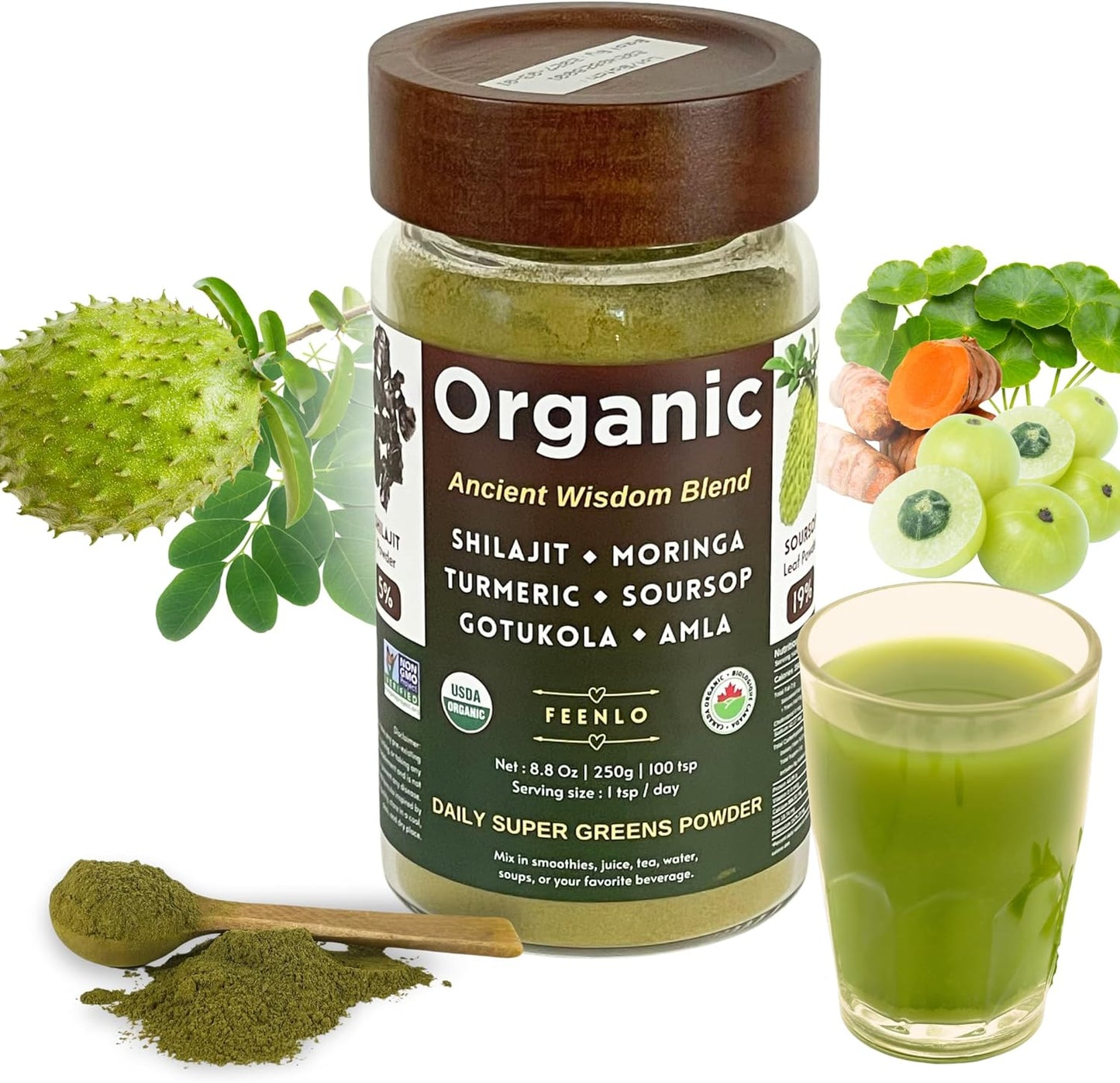Organic Non-GMO Moringa, Shilajit, Turmeric, Soursop, Gotukola, and Amla Green Juice Blend Powder | 3-Month Supply - Buy Now!