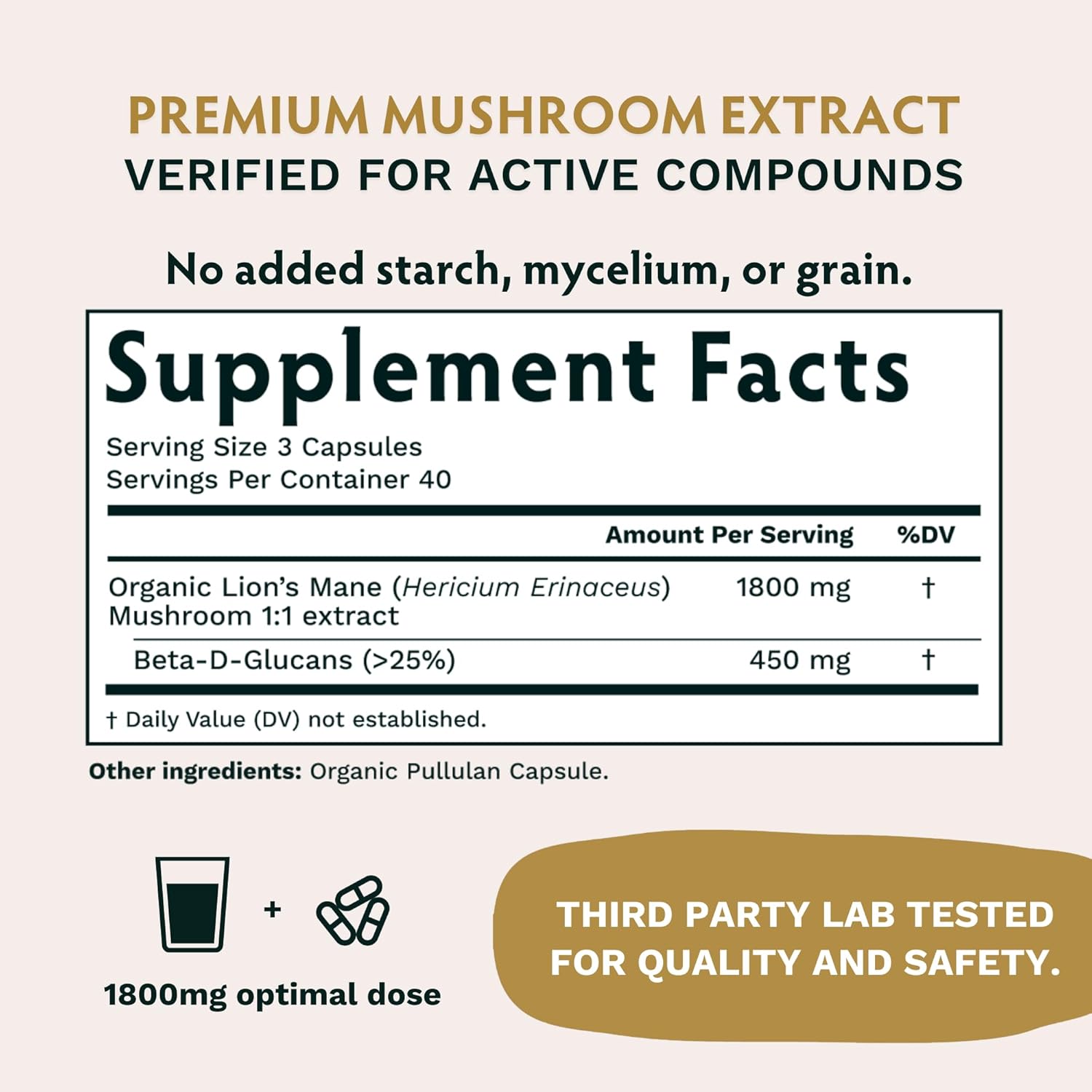 Organic Nootropic Bundle: KSM66 Ashwagandha & Lion's Mane for Focus and Mind Health