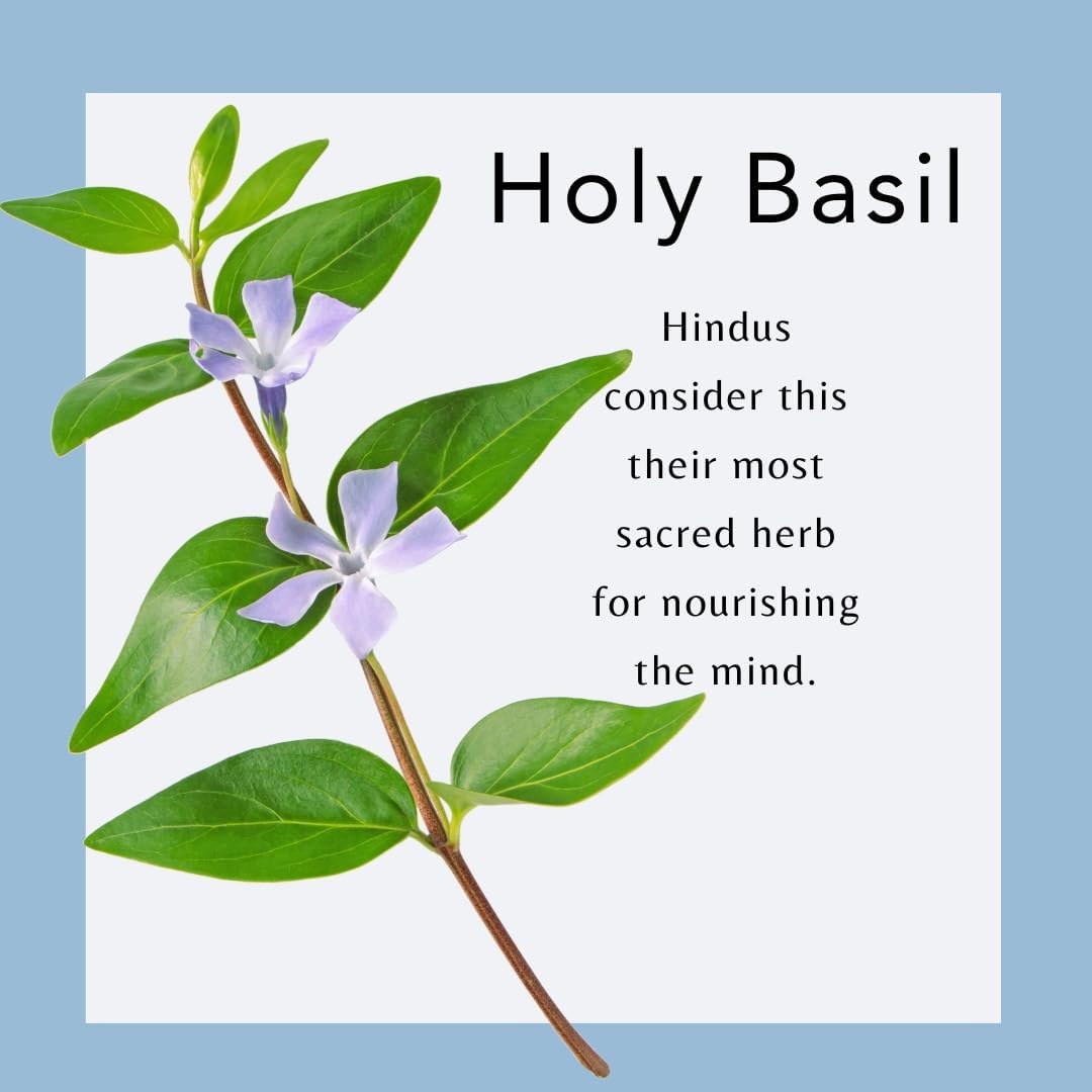 Organic NuRal™ Brain Supplement with Sage, Holy Basil, Bacopa Monnieri - Enhance Memory, Focus, Brain Power - Clinically Proven