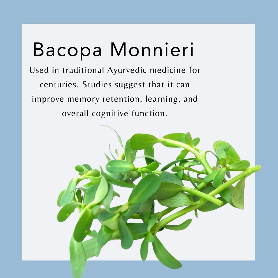 Organic NuRal™ Brain Supplement with Sage, Holy Basil, Bacopa Monnieri - Enhance Memory, Focus, Brain Power - Clinically Proven