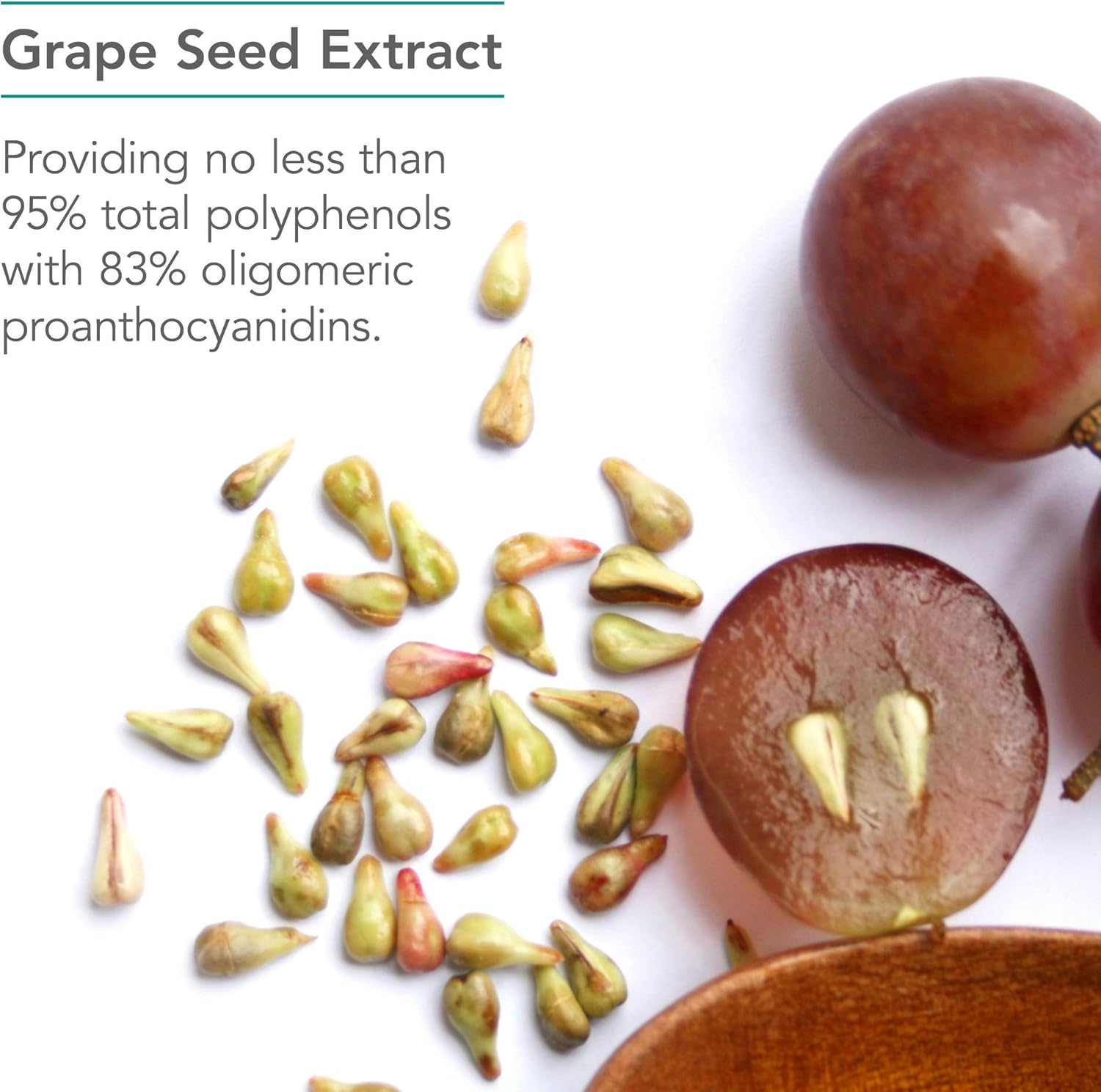 Organic Nutricology Grape Pips Extract Capsules - 300mg Proanthocyanidins & Polyphenols - 90 Count Herbal Supplement