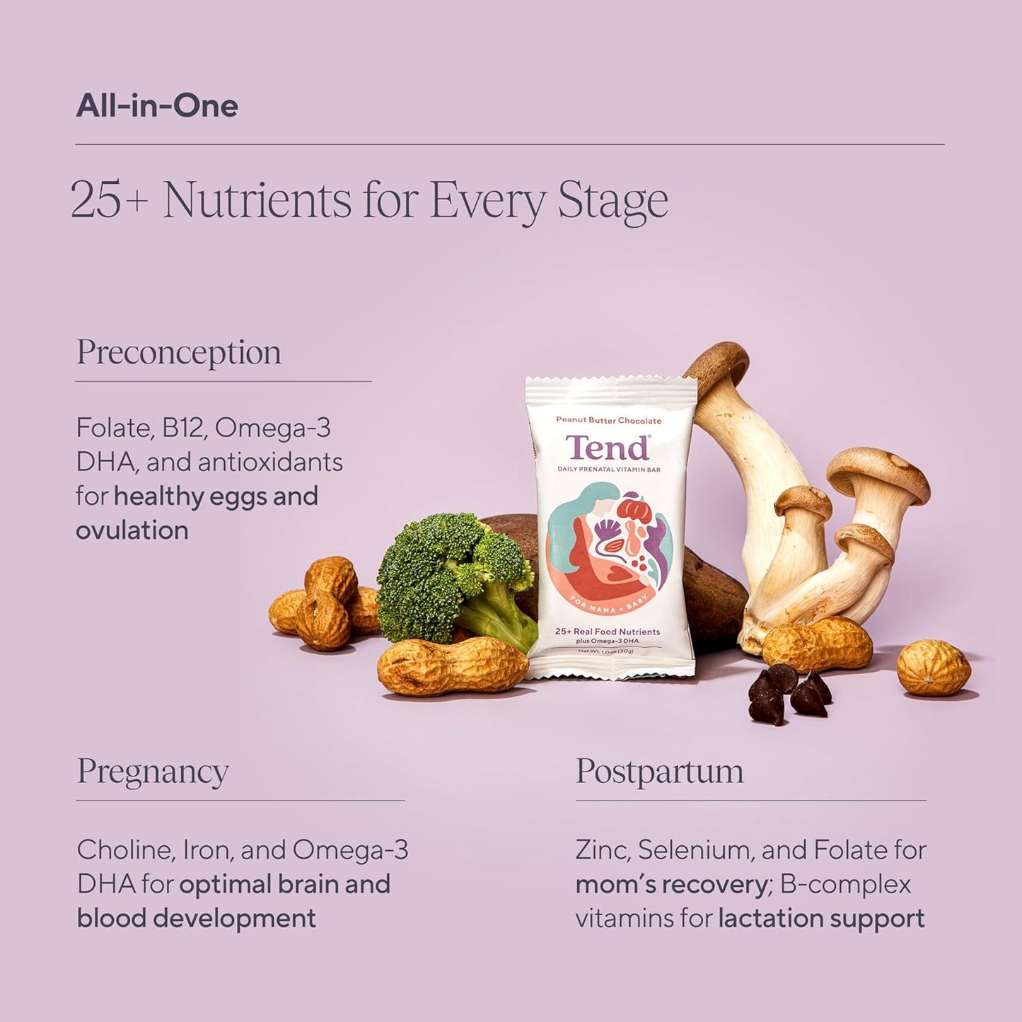 Organic Peanut Butter Chocolate Prenatal Vitamin Bar with DHA, Vitamin D, Folate for Pregnant & Postpartum Women - 4 Pack