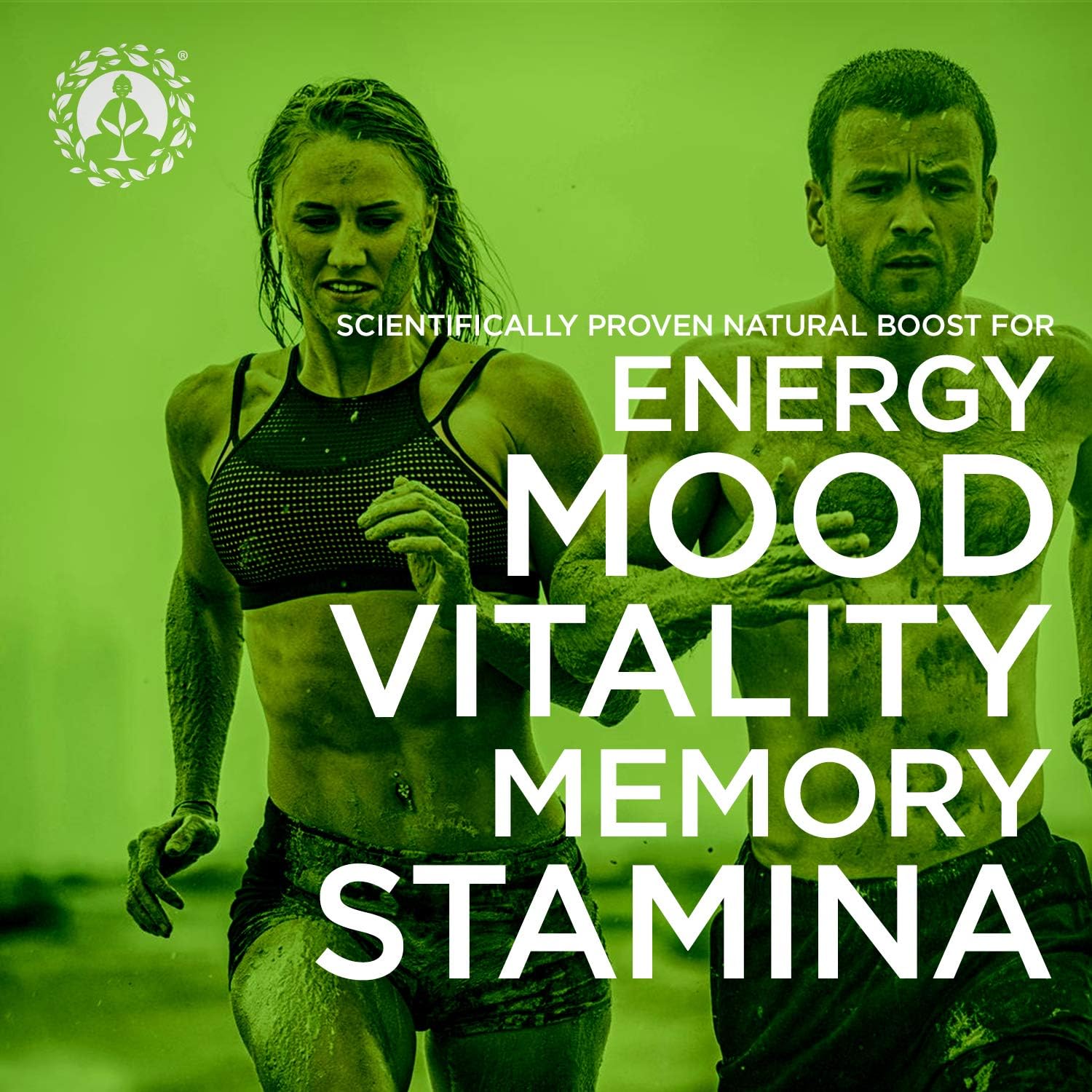 Organic Peruvian Maca Root Powder - Premium Grade Superfood (Raw) - USDA & Vegan Certified - 8oz Bag - Ideal for Breakfast, Smoothies, Baking & Ice Cream