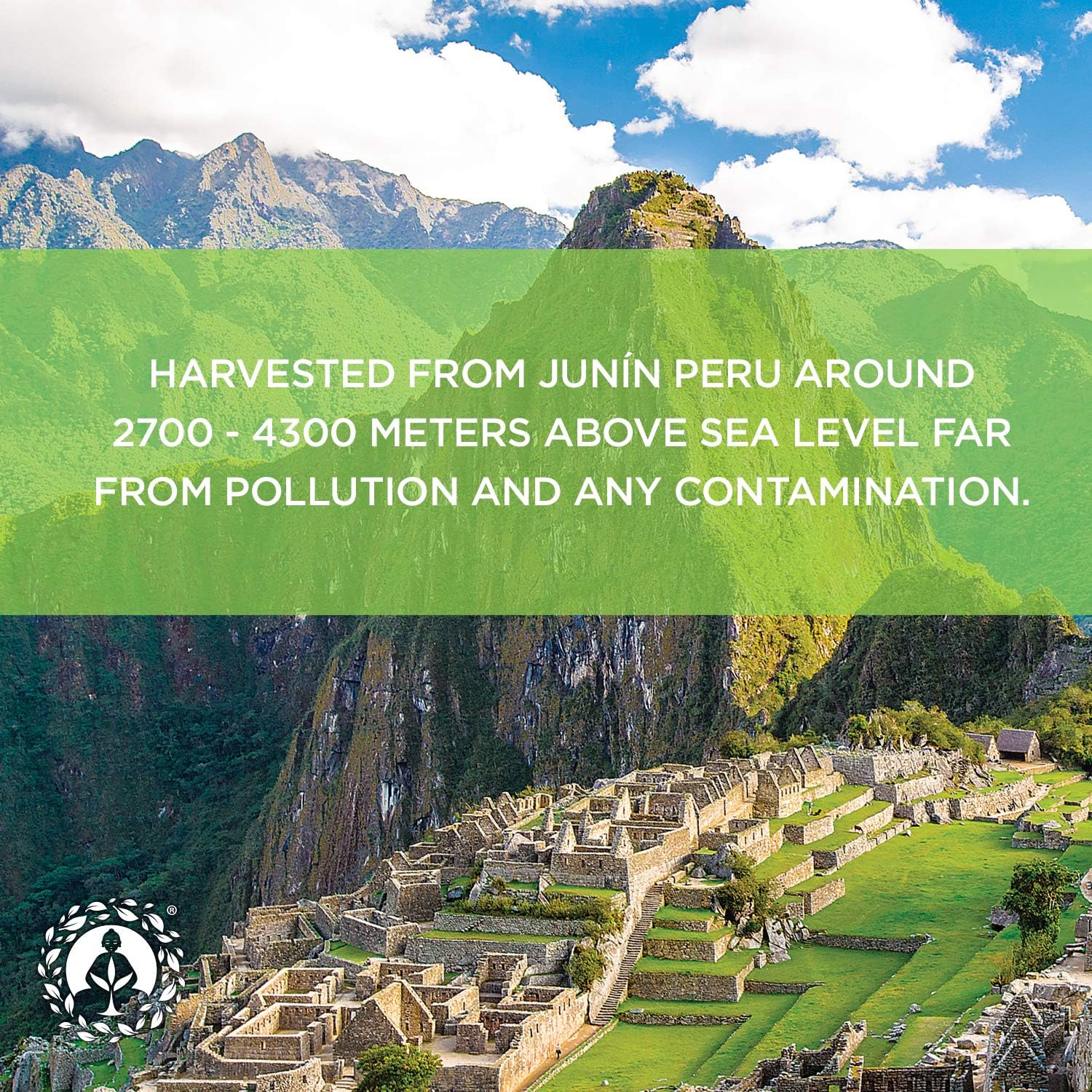 Organic Peruvian Maca Root Powder - Premium Grade Superfood (Raw) - USDA & Vegan Certified - 8oz Bag - Ideal for Breakfast, Smoothies, Baking & Ice Cream