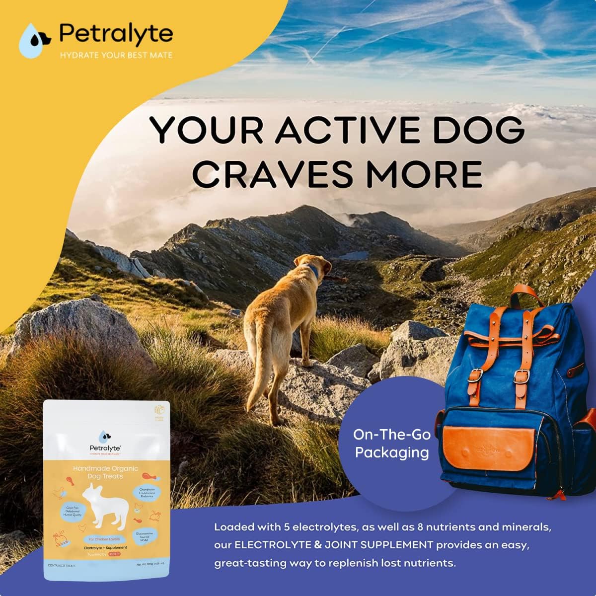 Organic Petralyte Dog Electrolyte & Joint Supplement with Chicken Flavor | Natural Dog Vitamins for Inflammation & Mobility Support