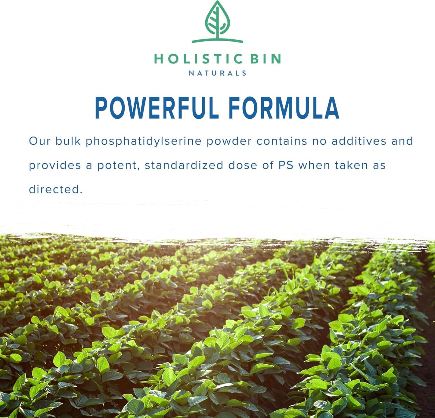 Organic Phosphatidylserine Powder for Memory & Focus | Non GMO Soy Lecithin Extract | Nootropic Brain Support Supplement