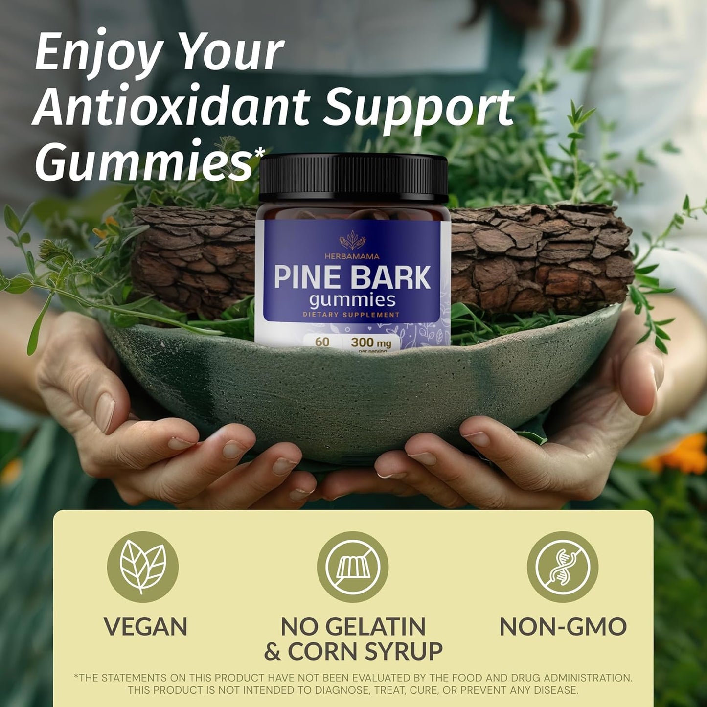 Organic Pine Bark Extract Gummies - 300mg French Maritime Pine Bark for Antioxidant Boost - Vegan, Non-GMO Supplement - 60 Blueberry-Flavored Chews