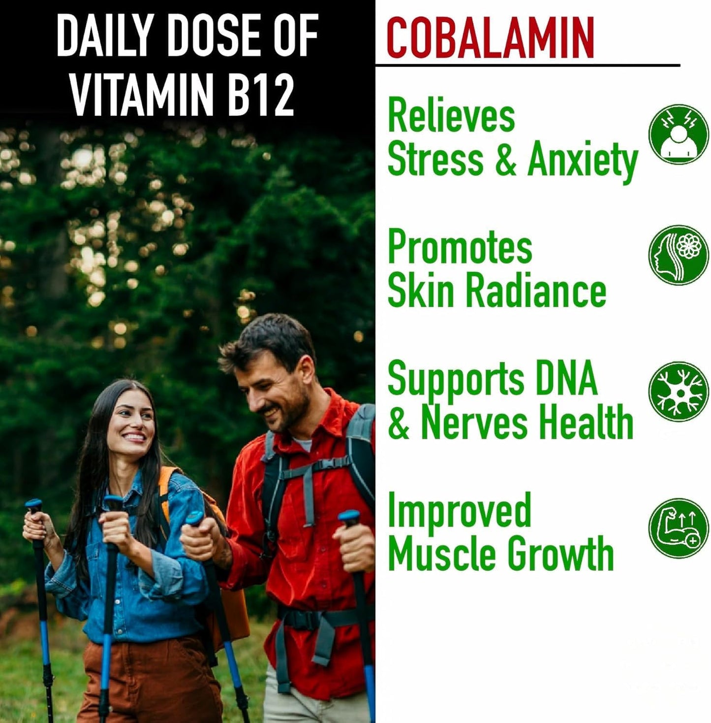 Organic Plant Based Vitamin B12 Supplement for Men & Women - 60 Vegan Capsules - Ayurvedic Rasayana B12 for Stress, Nerve & Brain Health