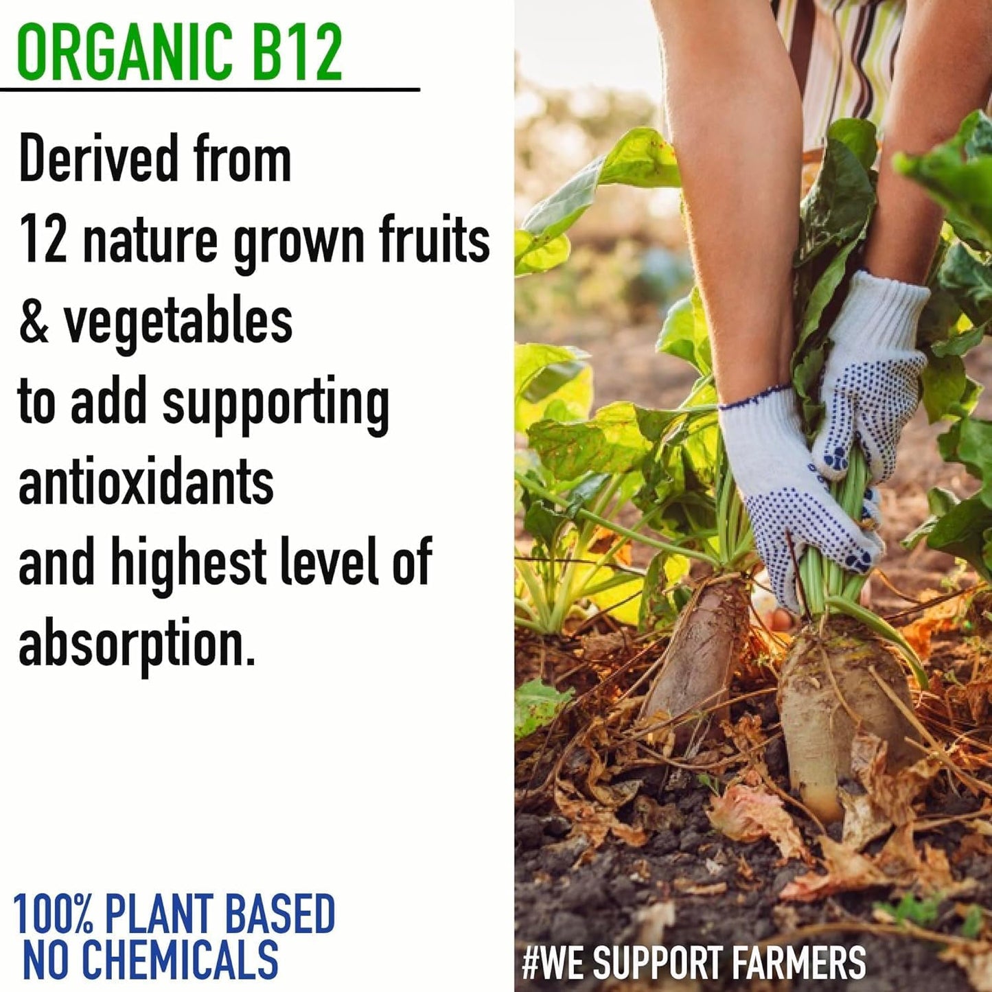 Organic Plant Based Vitamin B12 Supplement for Men & Women - 60 Vegan Capsules - Ayurvedic Rasayana B12 for Stress, Nerve & Brain Health