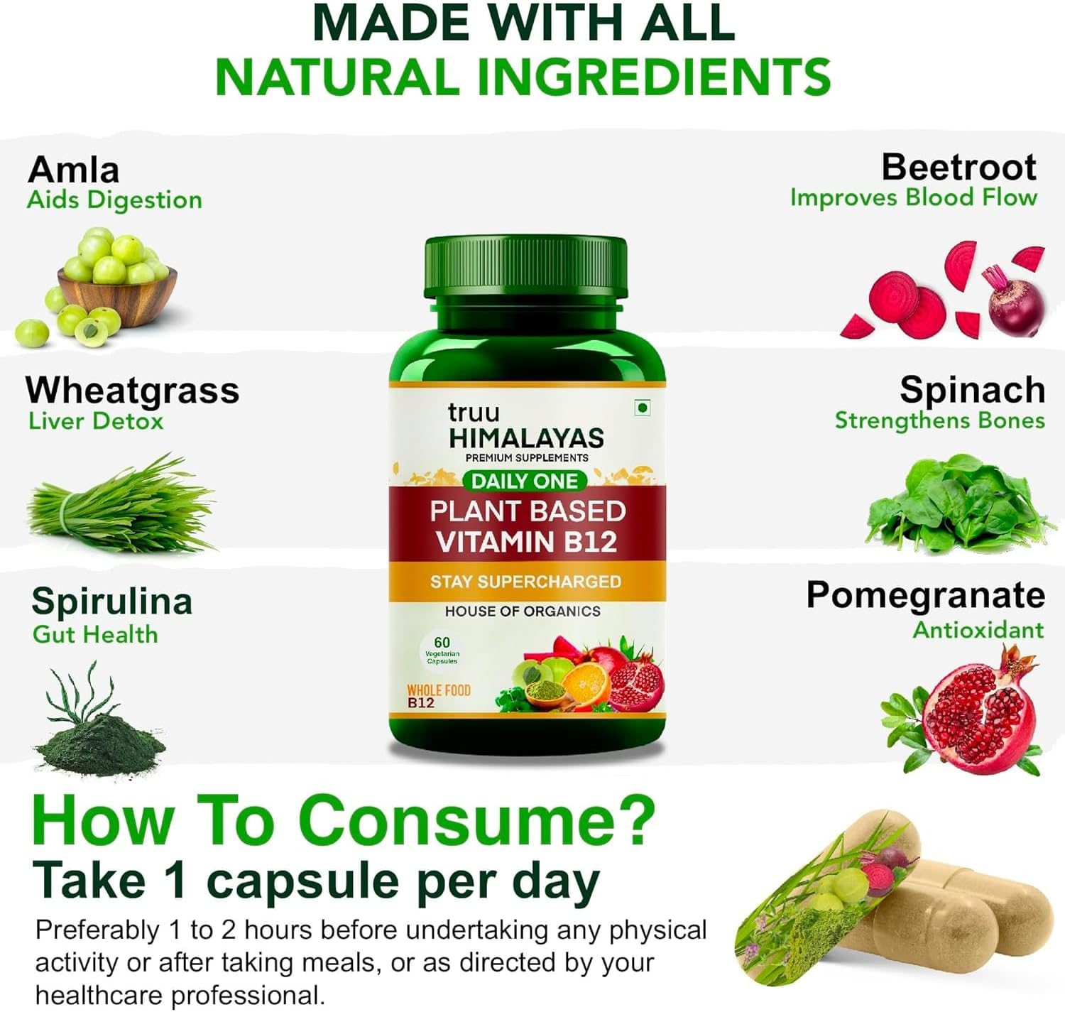 Organic Plant Based Vitamin B12 Supplement for Men & Women - 60 Vegan Capsules - Ayurvedic Rasayana B12 for Stress, Nerve & Brain Health