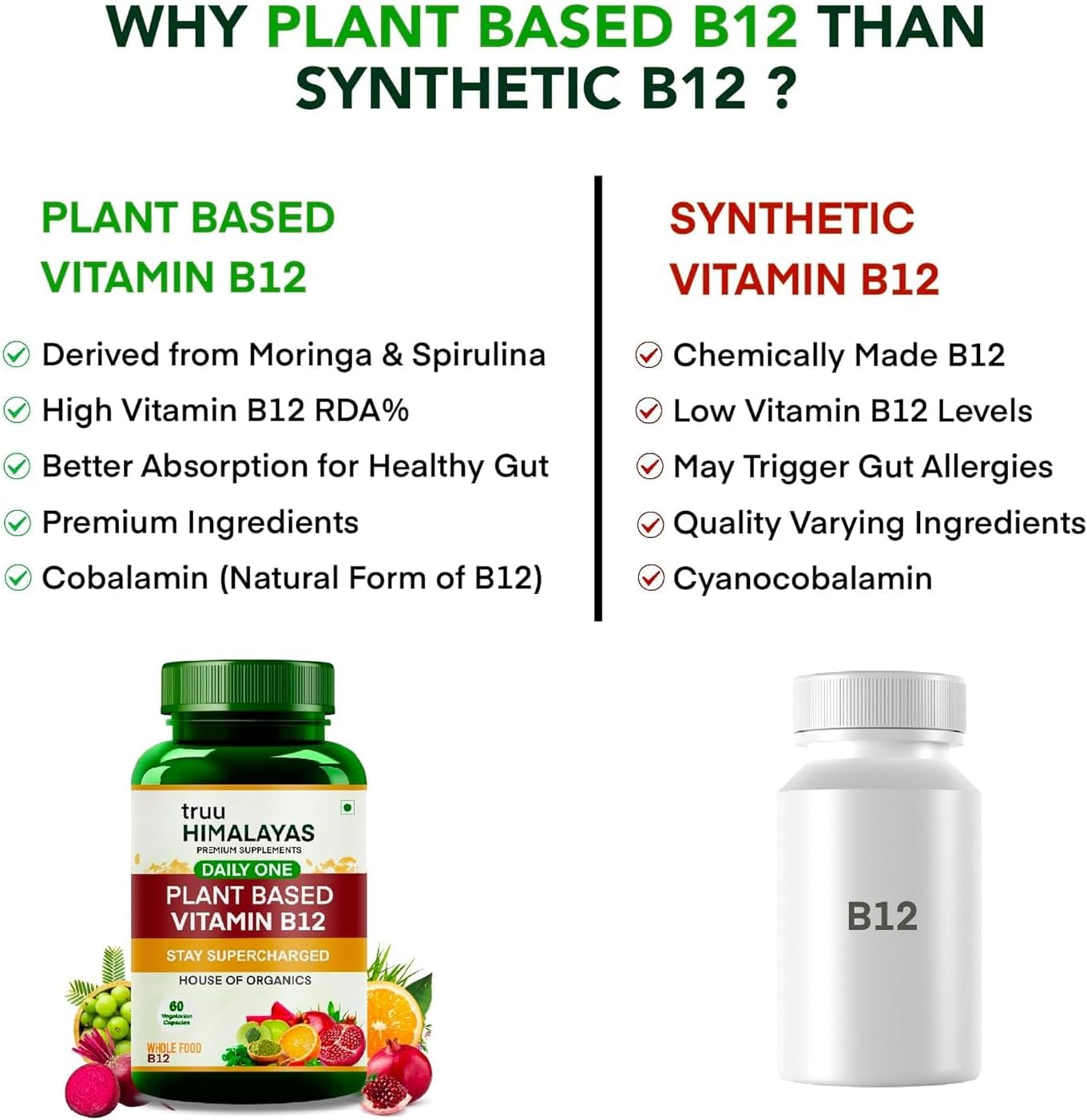 Organic Plant Based Vitamin B12 Supplement for Men & Women - 60 Vegan Capsules - Ayurvedic Rasayana B12 for Stress, Nerve & Brain Health