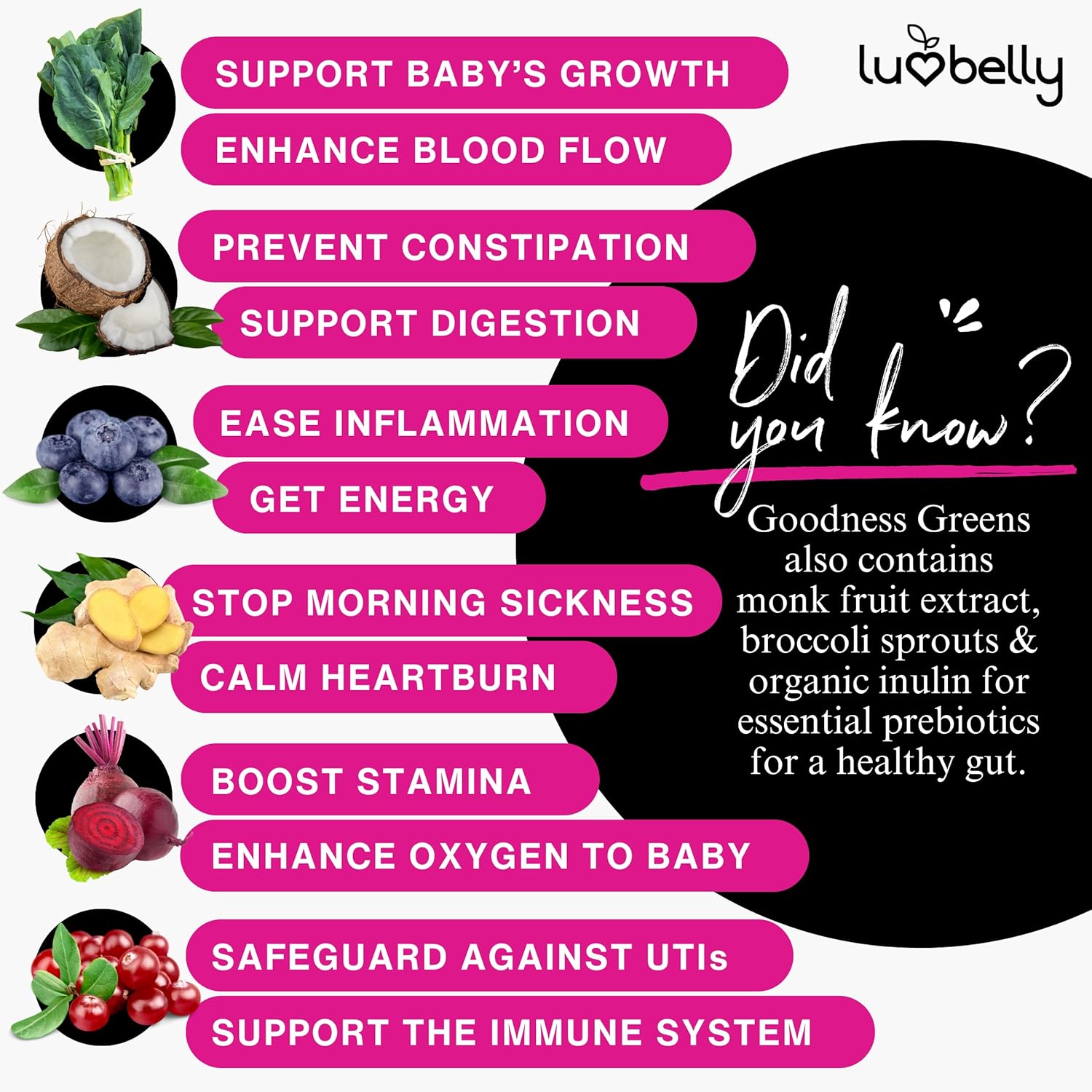 Organic Prenatal Greens Powder for Pregnancy - OBGYN Approved Supplement - Pregnancy Energy Drink Mix - 24 Servings