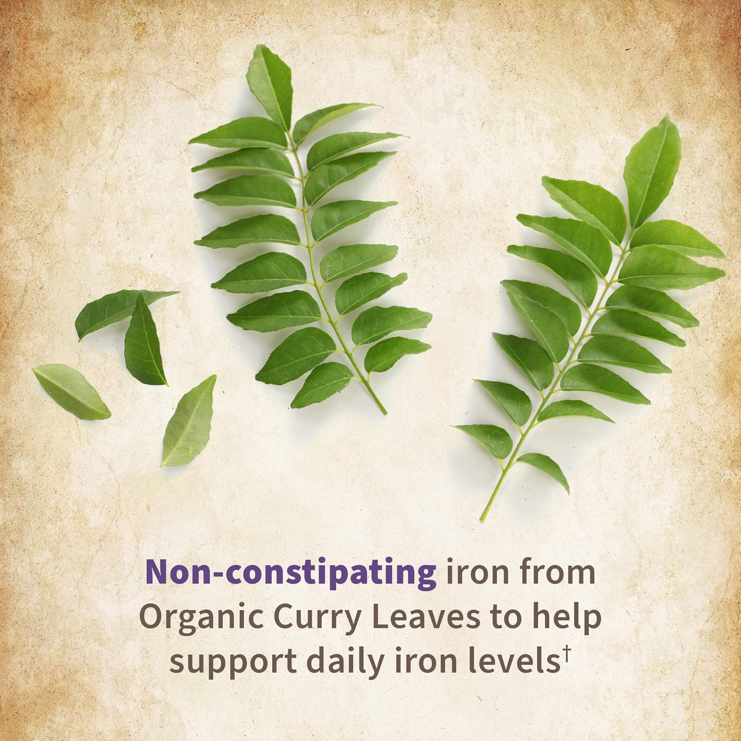 Organic Prenatal Vitamins with Folate for Energy & Fetal Development - Non-Constipating Iron, Vitamin C, B6, B12, D3 - Gluten-Free, Vegan - 30 Day Supply