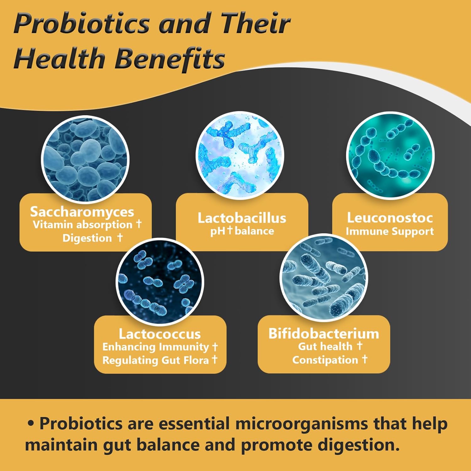 Organic Probiotic Supplement with Prebiotics - 100 Billion CFU for Gut Health - Vegan 35-Strain Probiotics for Men and Women - Non-GMO Raw Formula - 60 Capsules