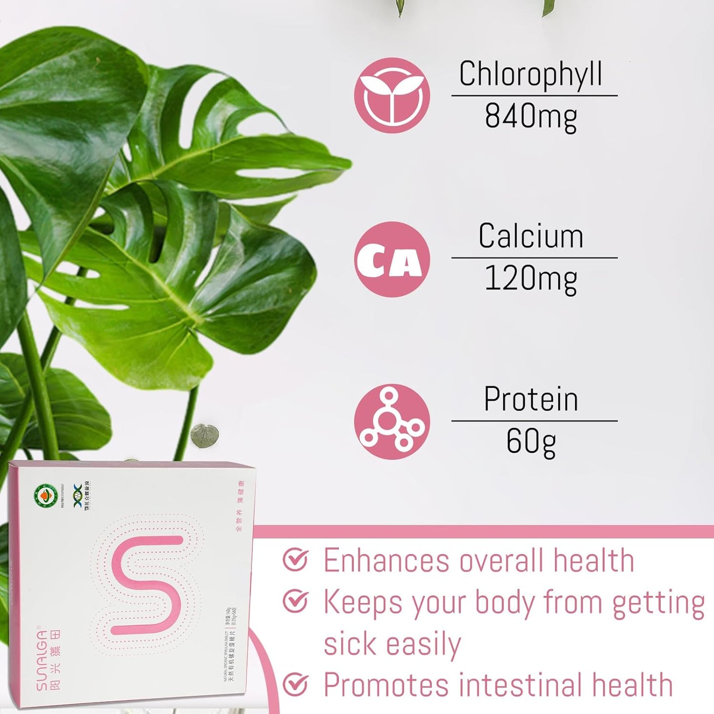 Organic Probiotic Supplements for Women: Promotes Daily Digestion, Muscle Health, and Immunity