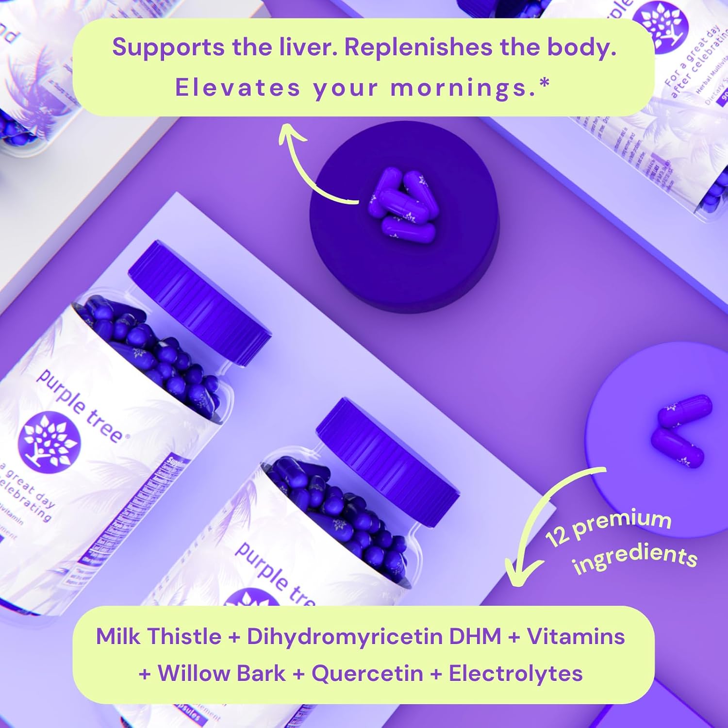 Organic Purple Tree Post-Celebration Energy Boost & Hydration Combo - 60ct Bottle + 12 Water Packets