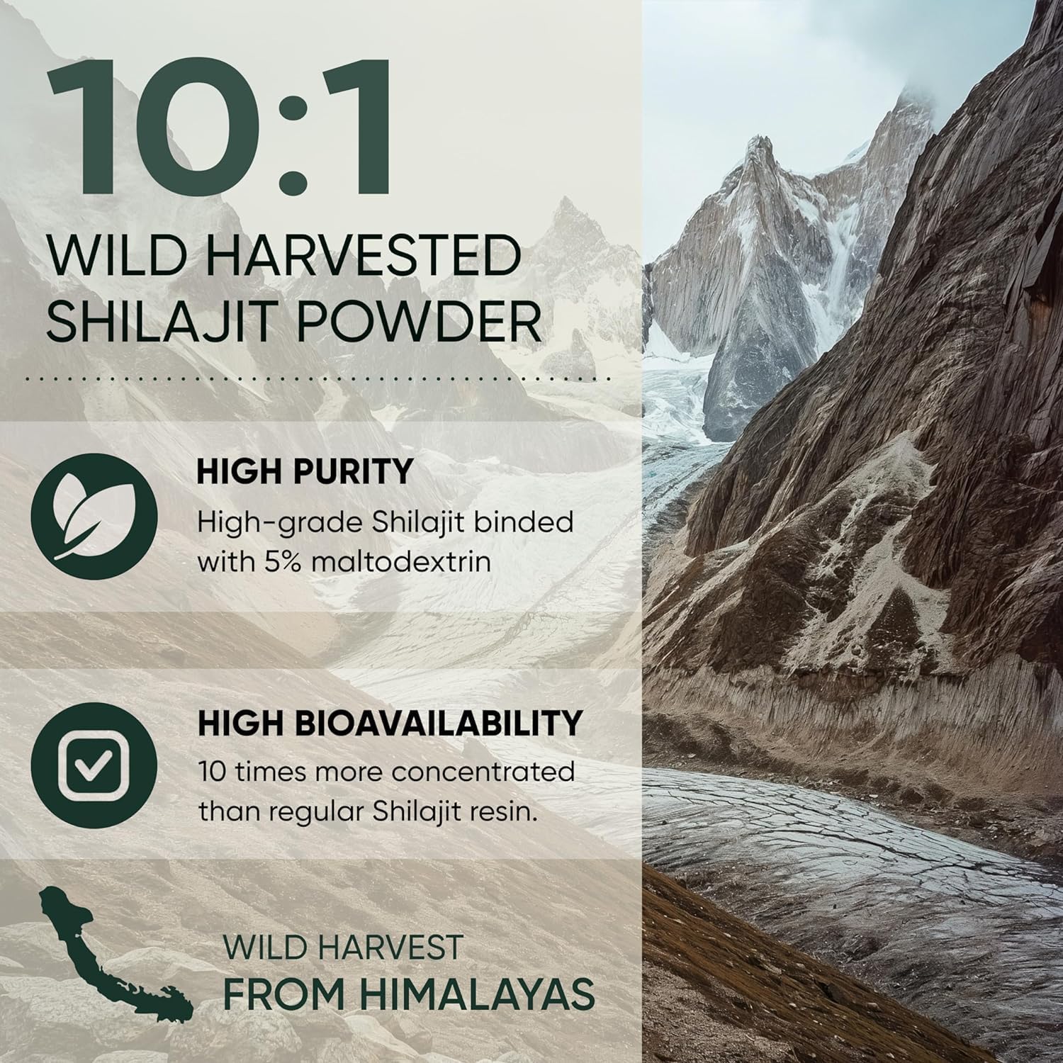 Organic Raspberry and Raw Shilajit Superfood Bundle for Men's Energy and Immune Boost - 5oz Each, USDA Certified, Ideal for Baking and Smoothies