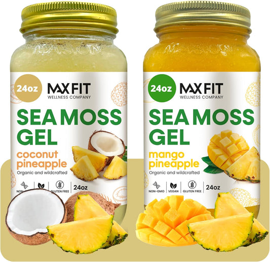 Organic Raw Sea Moss Gel Bundle (2 Jars, 24oz) Coconut Pineapple & Mango Pineapple | Wildcrafted Gold Sea Moss Gel from Saint Lucia | 92 Vitamins & Minerals | Pure Non-GMO Vegan Superfood