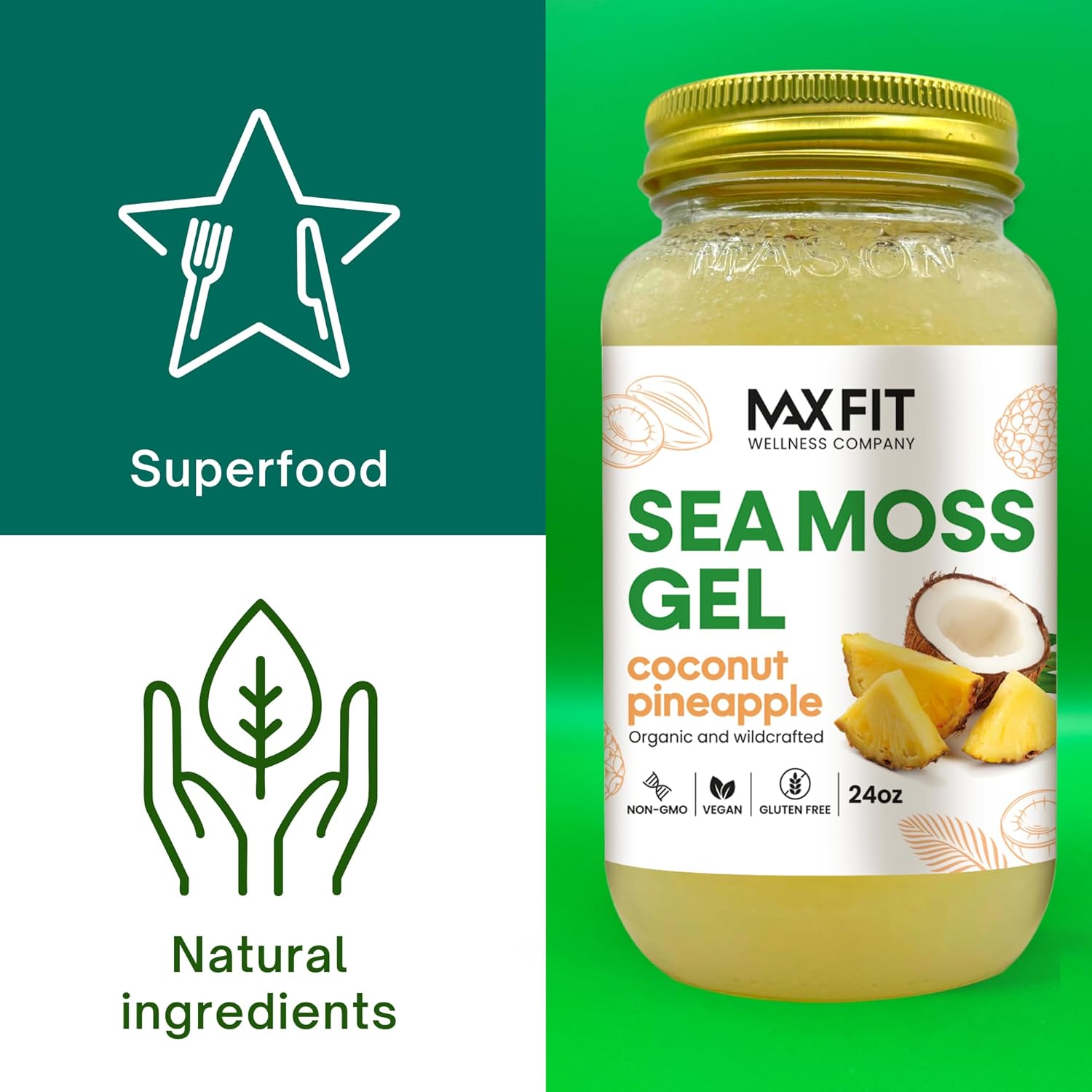 Organic Raw Sea Moss Gel Bundle (2 Jars, 24oz) Coconut Pineapple & Mango Pineapple | Wildcrafted Gold Sea Moss Gel from Saint Lucia | 92 Vitamins & Minerals | Pure Non-GMO Vegan Superfood