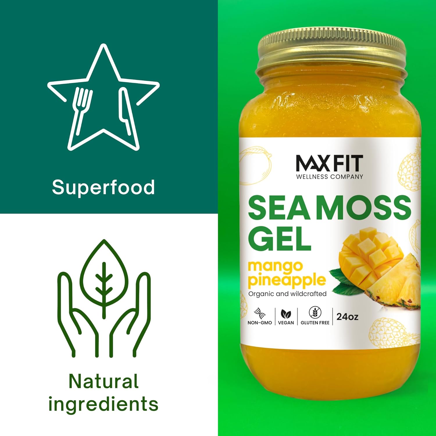 Organic Raw Sea Moss Gel Bundle (2 Jars, 24oz) Coconut Pineapple & Mango Pineapple | Wildcrafted Gold Sea Moss Gel from Saint Lucia | 92 Vitamins & Minerals | Pure Non-GMO Vegan Superfood