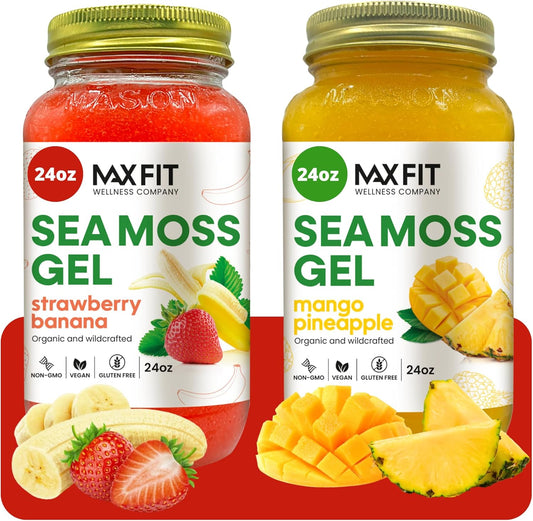 Organic Raw Sea Moss Gel Bundle (24oz x 2) Strawberry Banana & Mango Pineapple | Saint Lucia Wildcrafted Gold Sea Moss Gel | 92 Vitamins & Minerals | Non-GMO Vegan Superfood