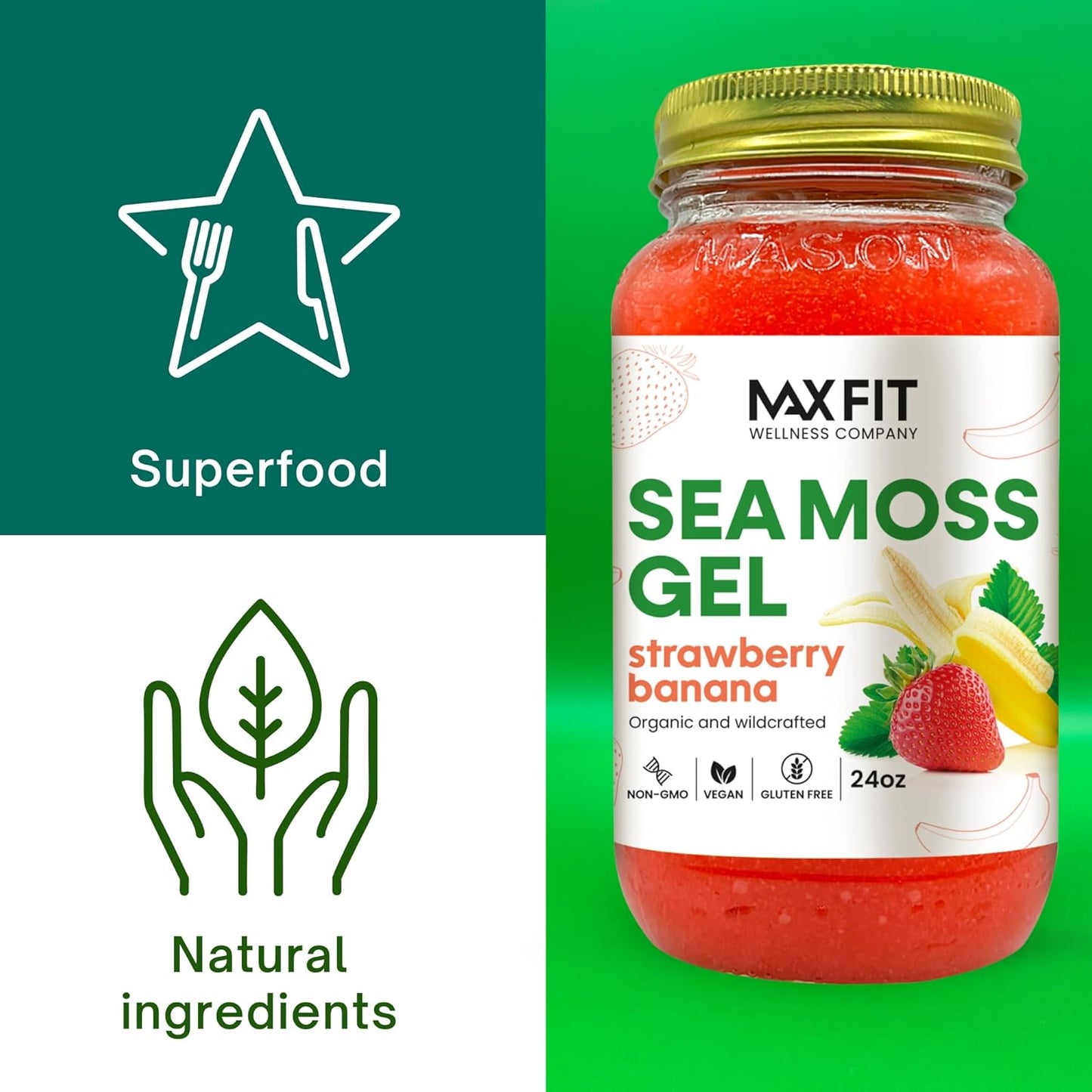 Organic Raw Sea Moss Gel Bundle (24oz x 2) Strawberry Banana & Mango Pineapple | Saint Lucia Wildcrafted Gold Sea Moss Gel | 92 Vitamins & Minerals | Non-GMO Vegan Superfood
