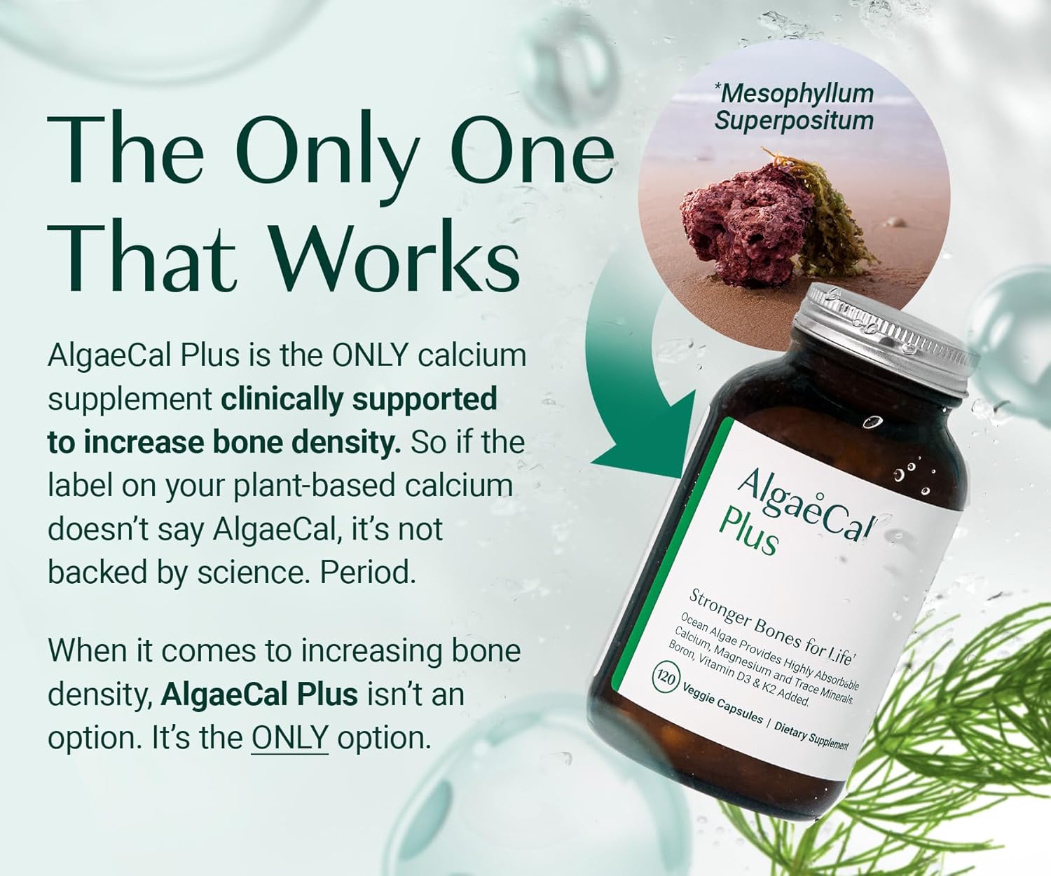 Organic Red Algae Calcium Supplement for Women with Vitamin K2, D3, Magnesium, and Trace Minerals - 120 Easy-to-Swallow Veg Caps for Improved Bone Strength