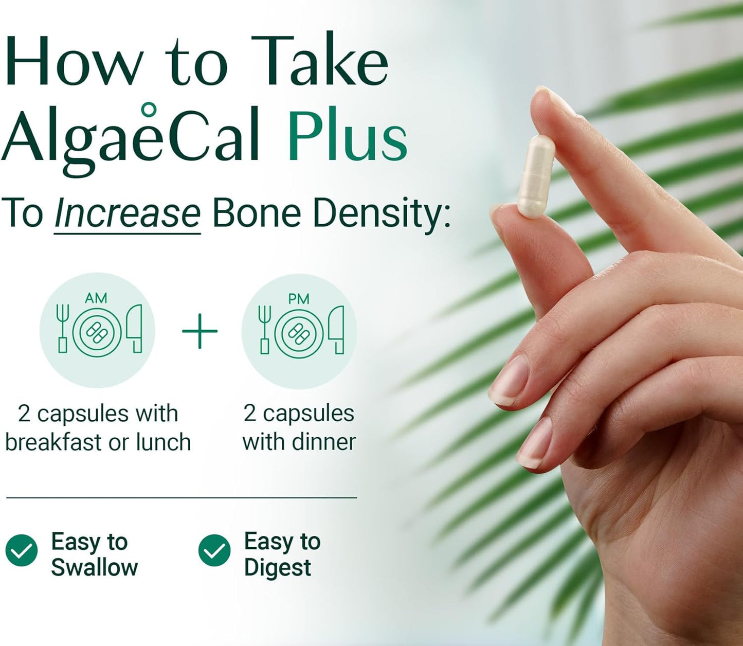 Organic Red Algae Calcium Supplement for Women with Vitamin K2, D3, Magnesium, and Trace Minerals - 120 Easy-to-Swallow Veg Caps for Improved Bone Strength