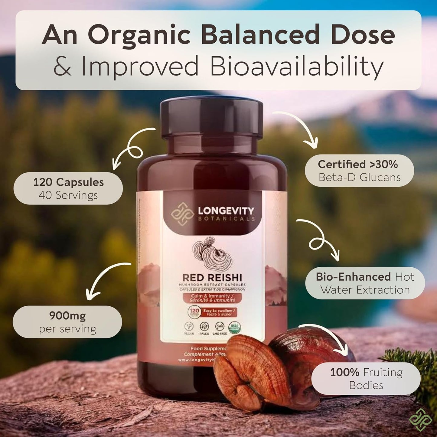 Organic Reishi Mushroom Capsules - Immune Support, Relaxation, Sleep Aid - 100% Fruiting Body - 120 Capsules