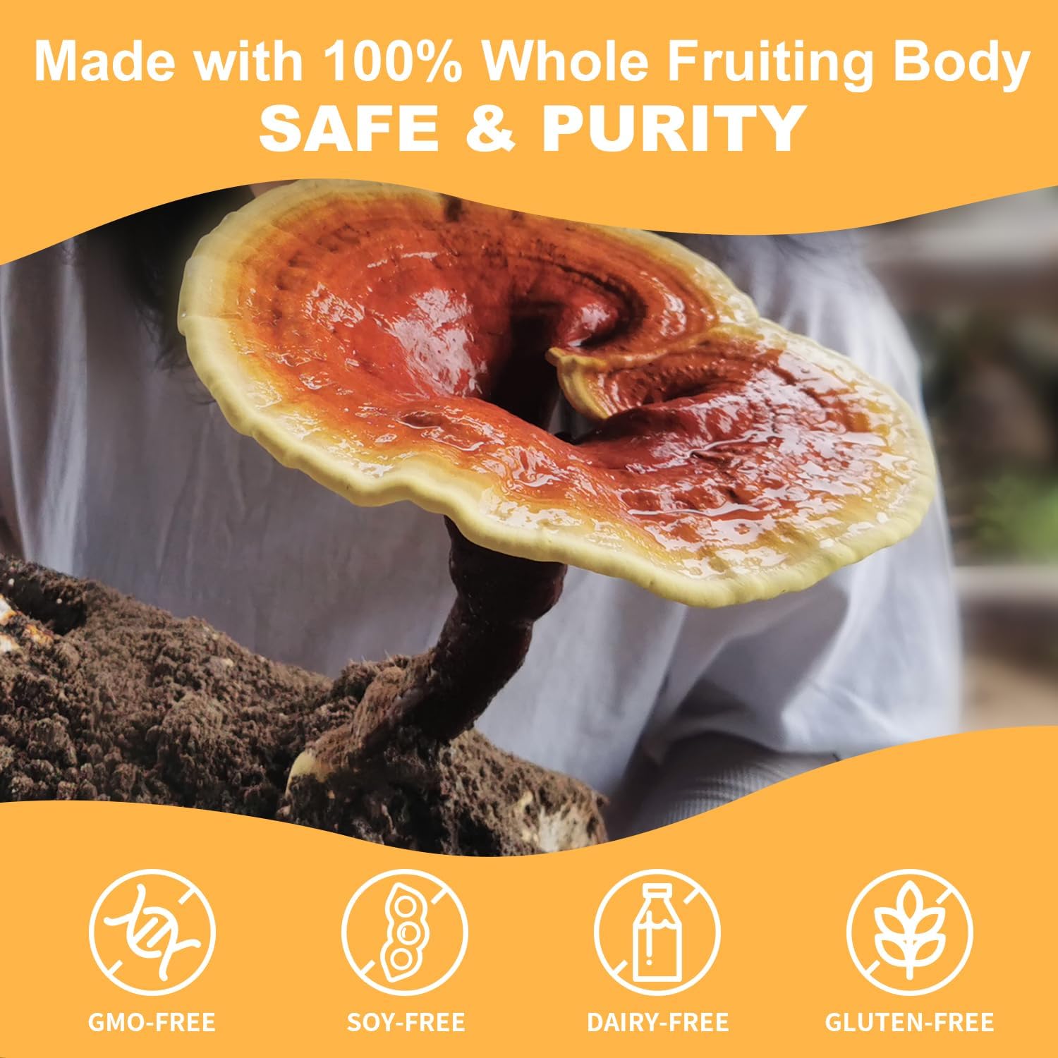 Organic Reishi Mushroom Capsules with Superfood Extracts for Longevity and Immune Health